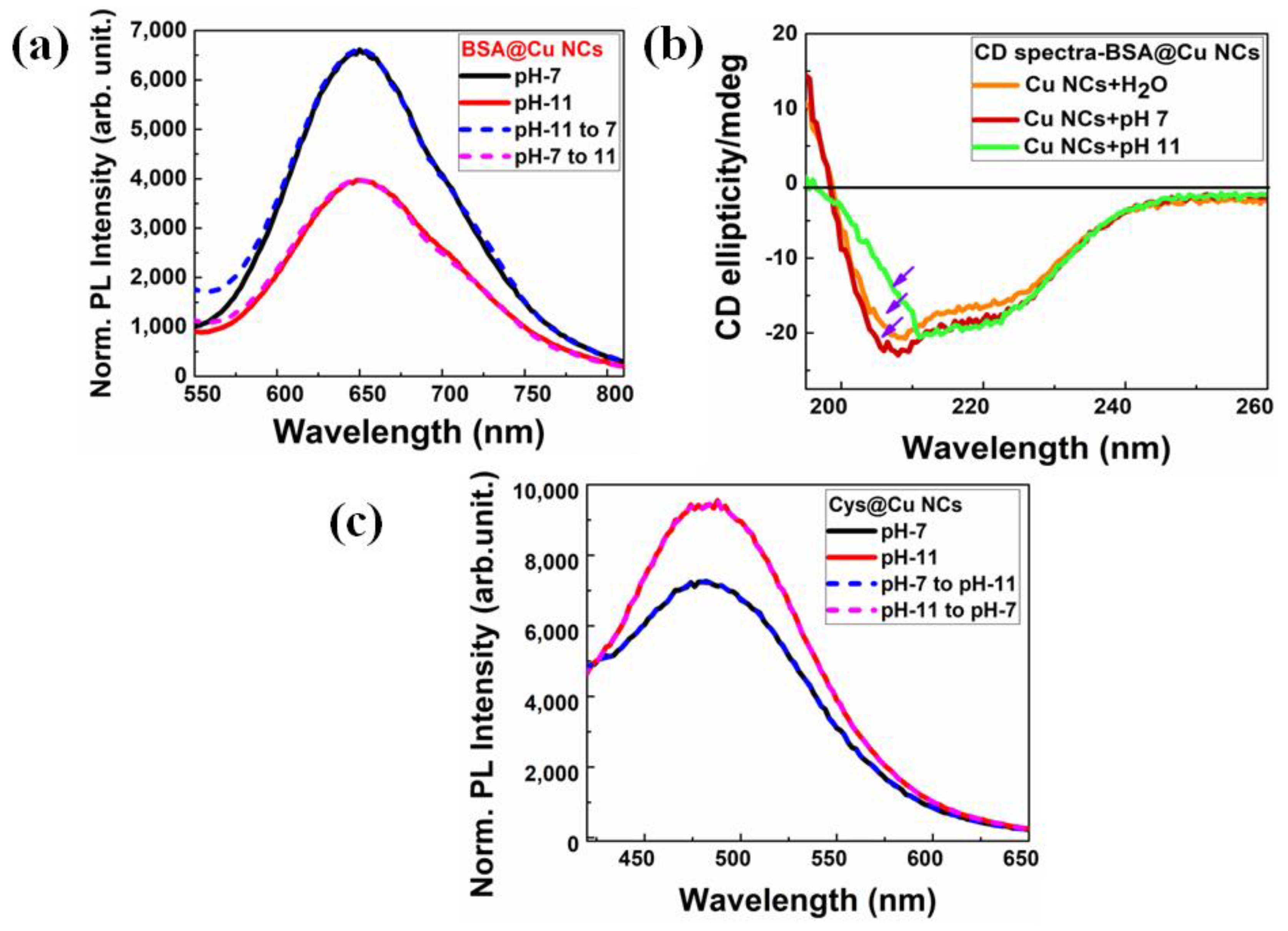 Nanomaterials 13 00529 g004 Nanomaterials 13 00529 g004