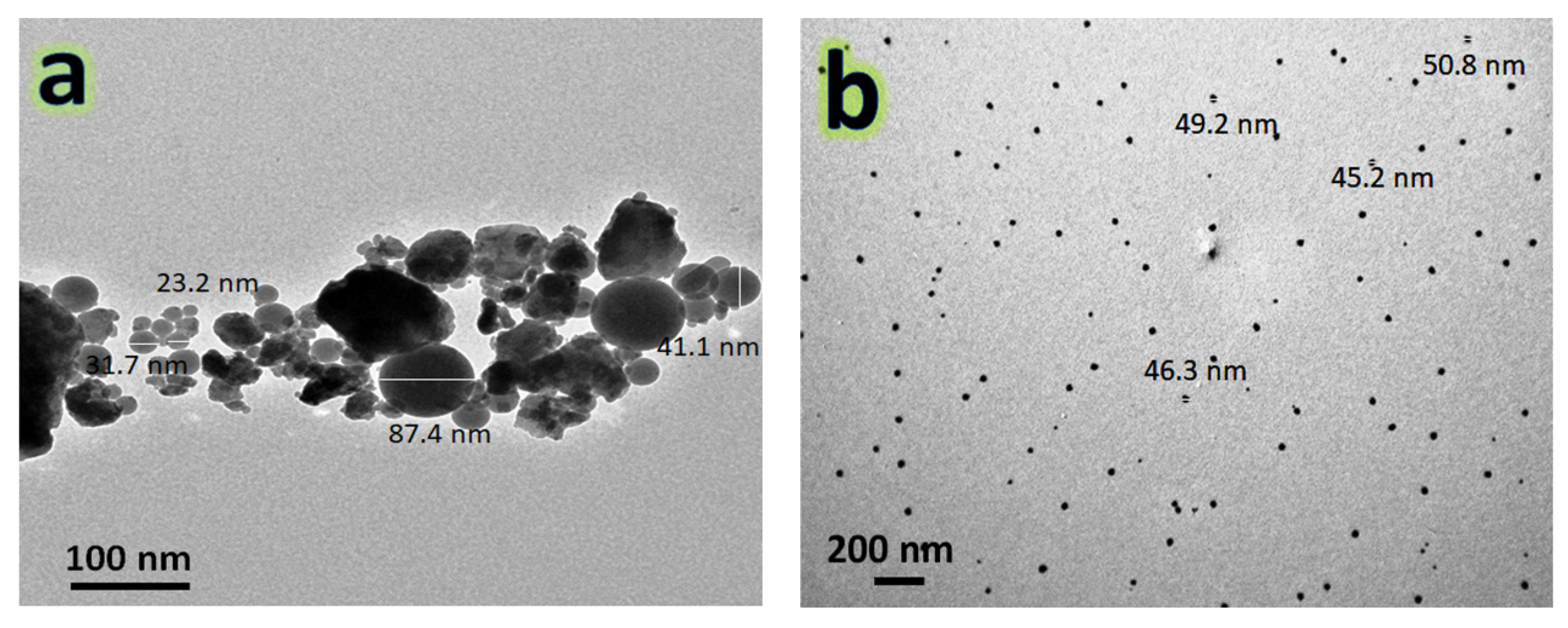 Nanomaterials 13 00537 g004 Nanomaterials 13 00537 g004