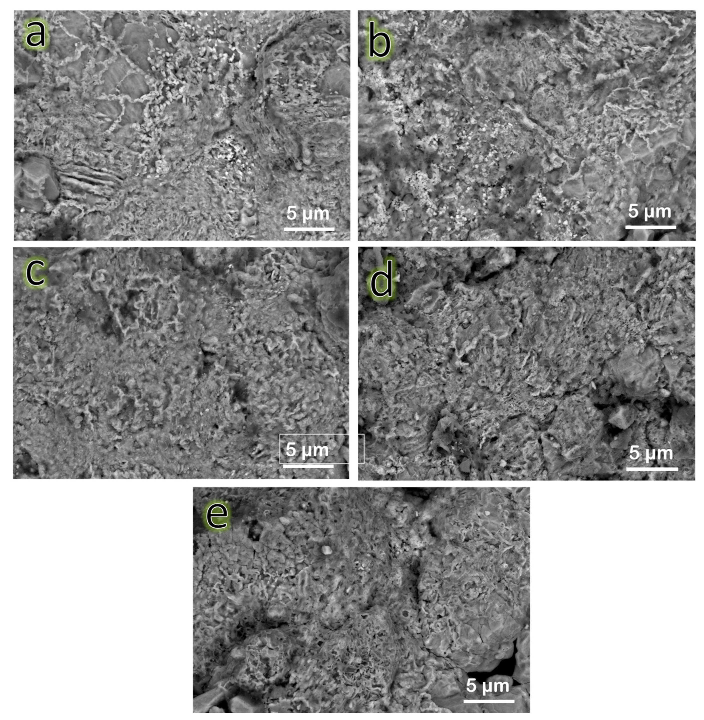 Nanomaterials 13 00537 g007 Nanomaterials 13 00537 g007