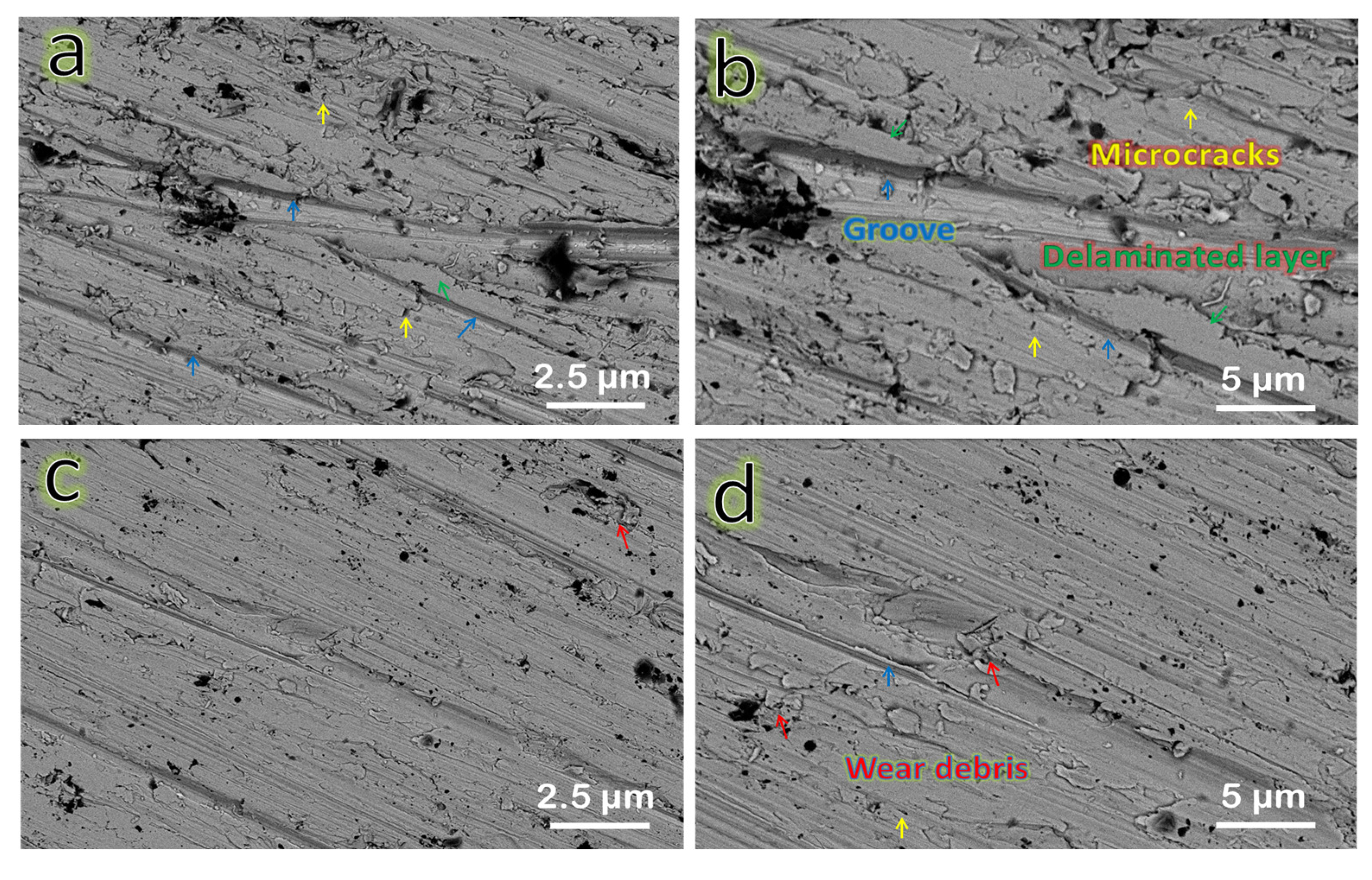 Nanomaterials 13 00537 g015 Nanomaterials 13 00537 g015