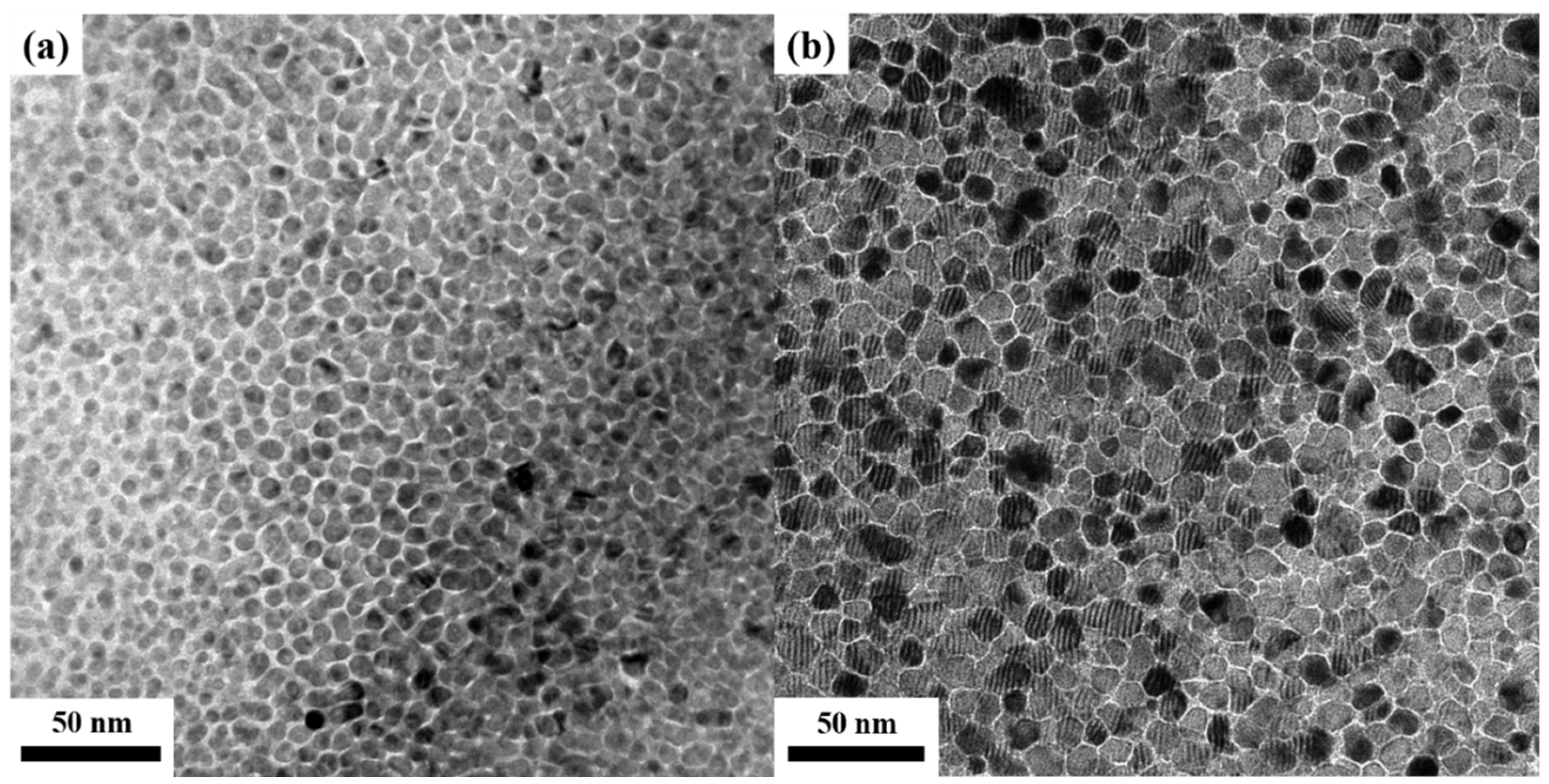 Nanomaterials 13 00539 g007a Nanomaterials 13 00539 g007a