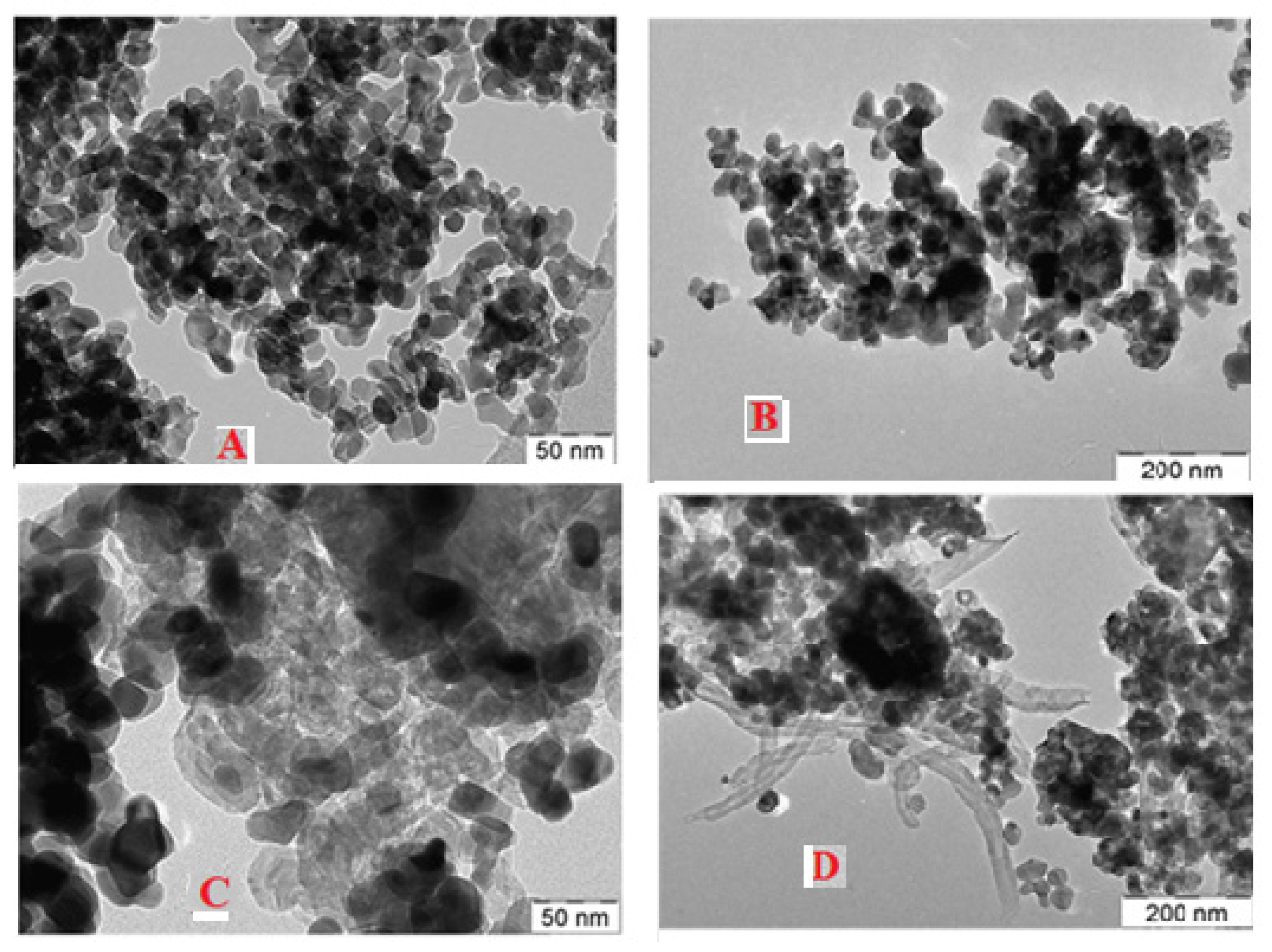 Nanomaterials 13 00547 g007
