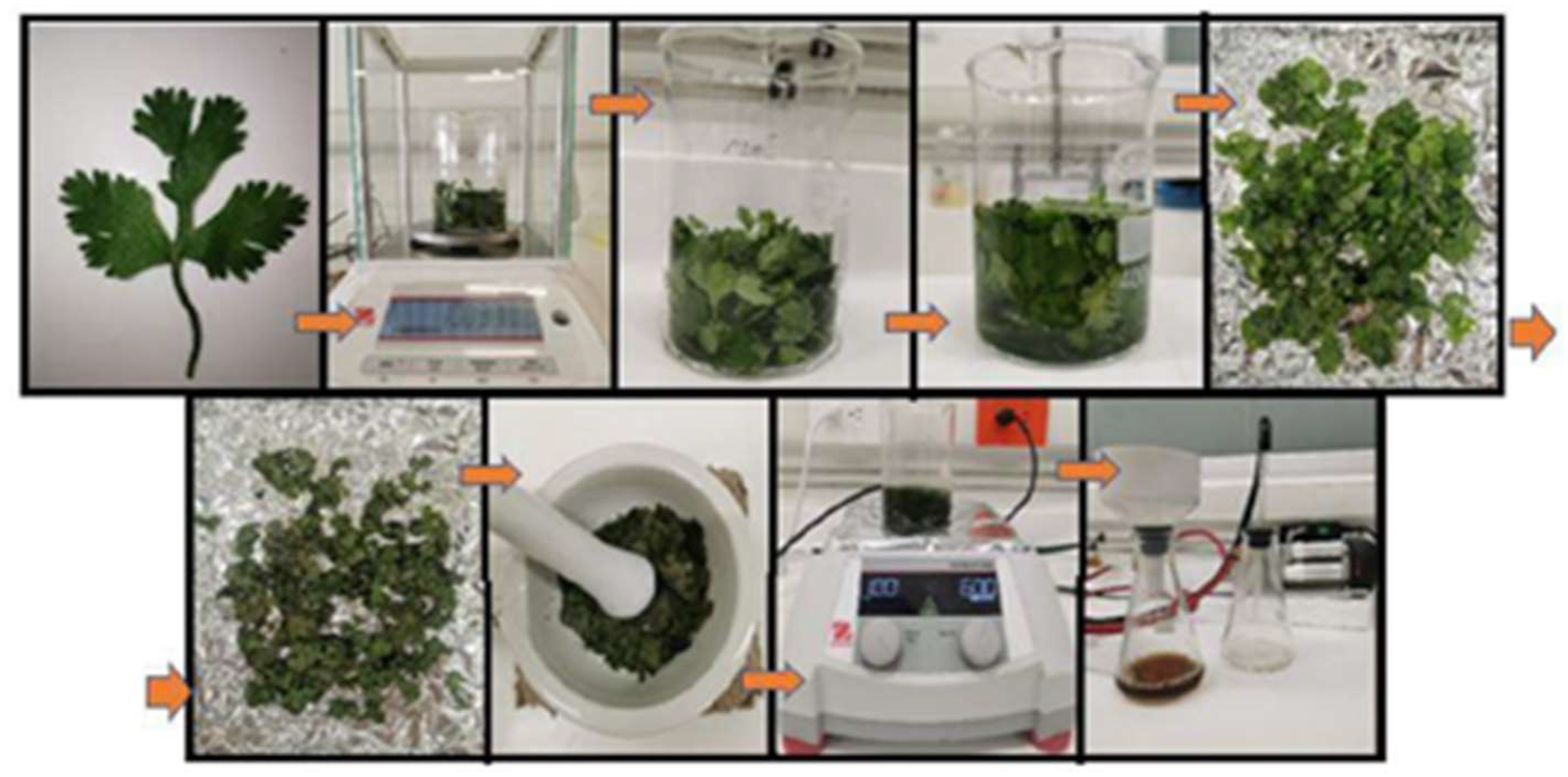 Nanomaterials 13 00548 g001