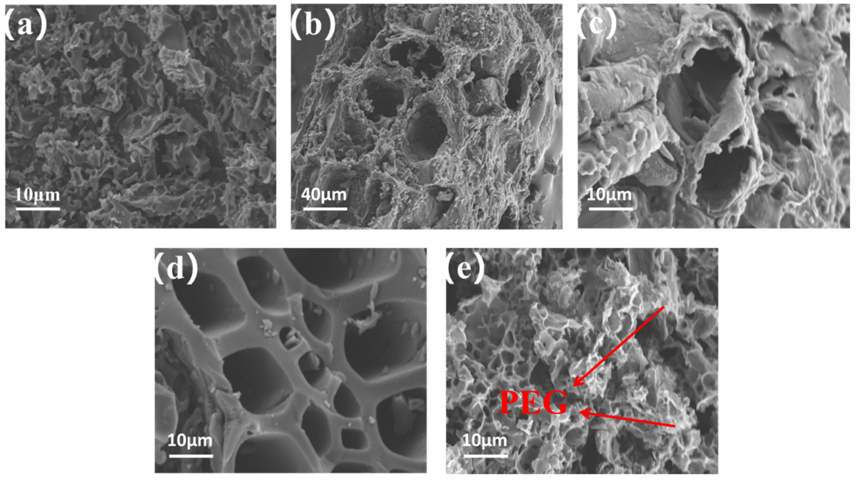 Nanomaterials 13 00552 g004
