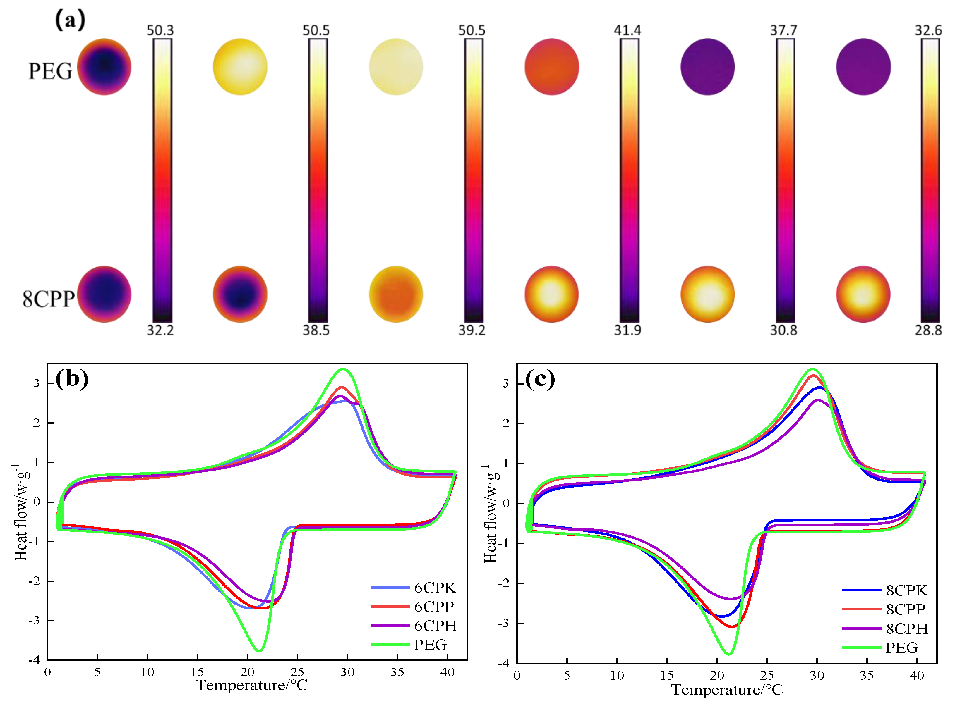 Nanomaterials 13 00552 g006