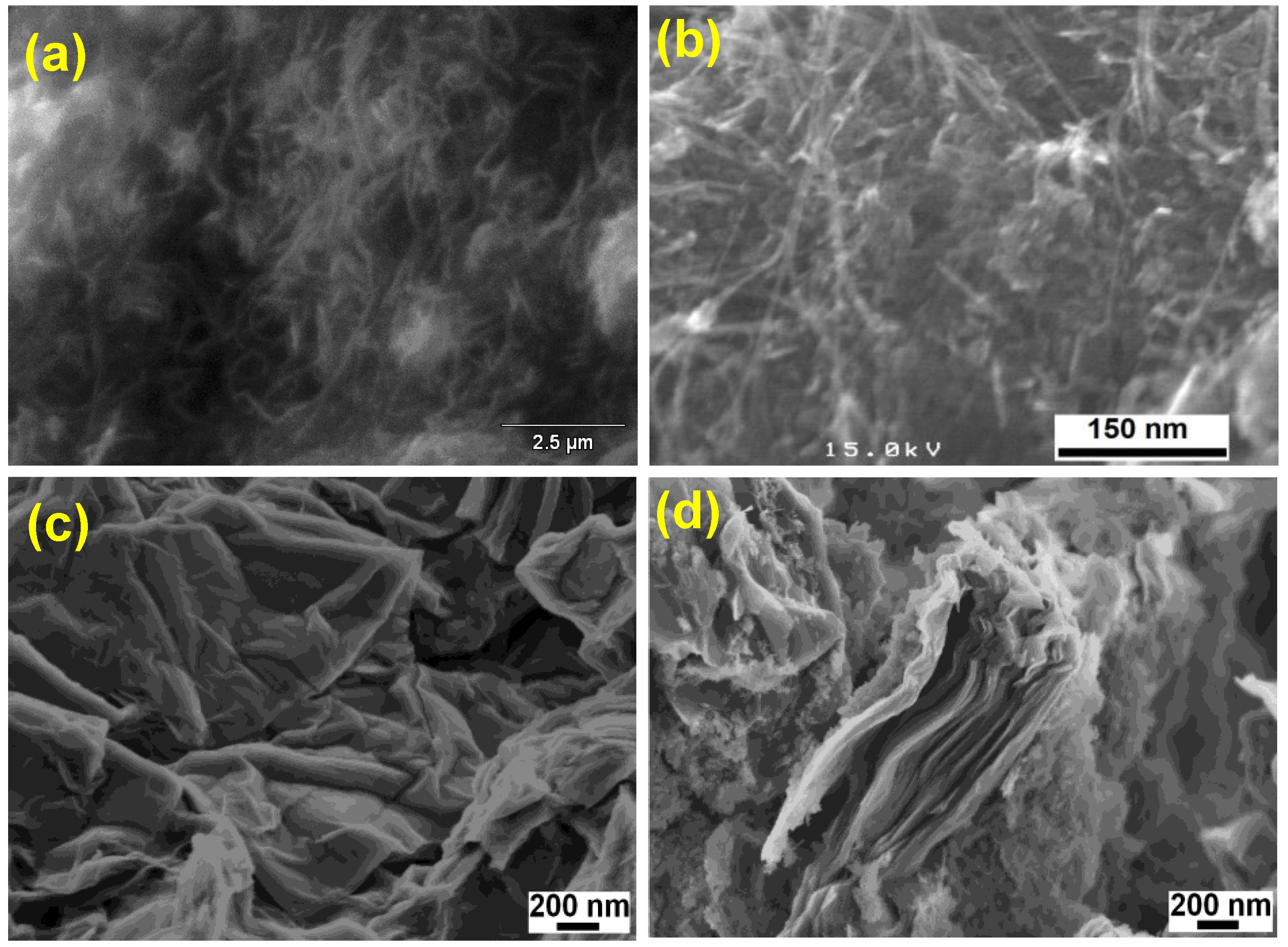 Nanomaterials 13 00556 g002