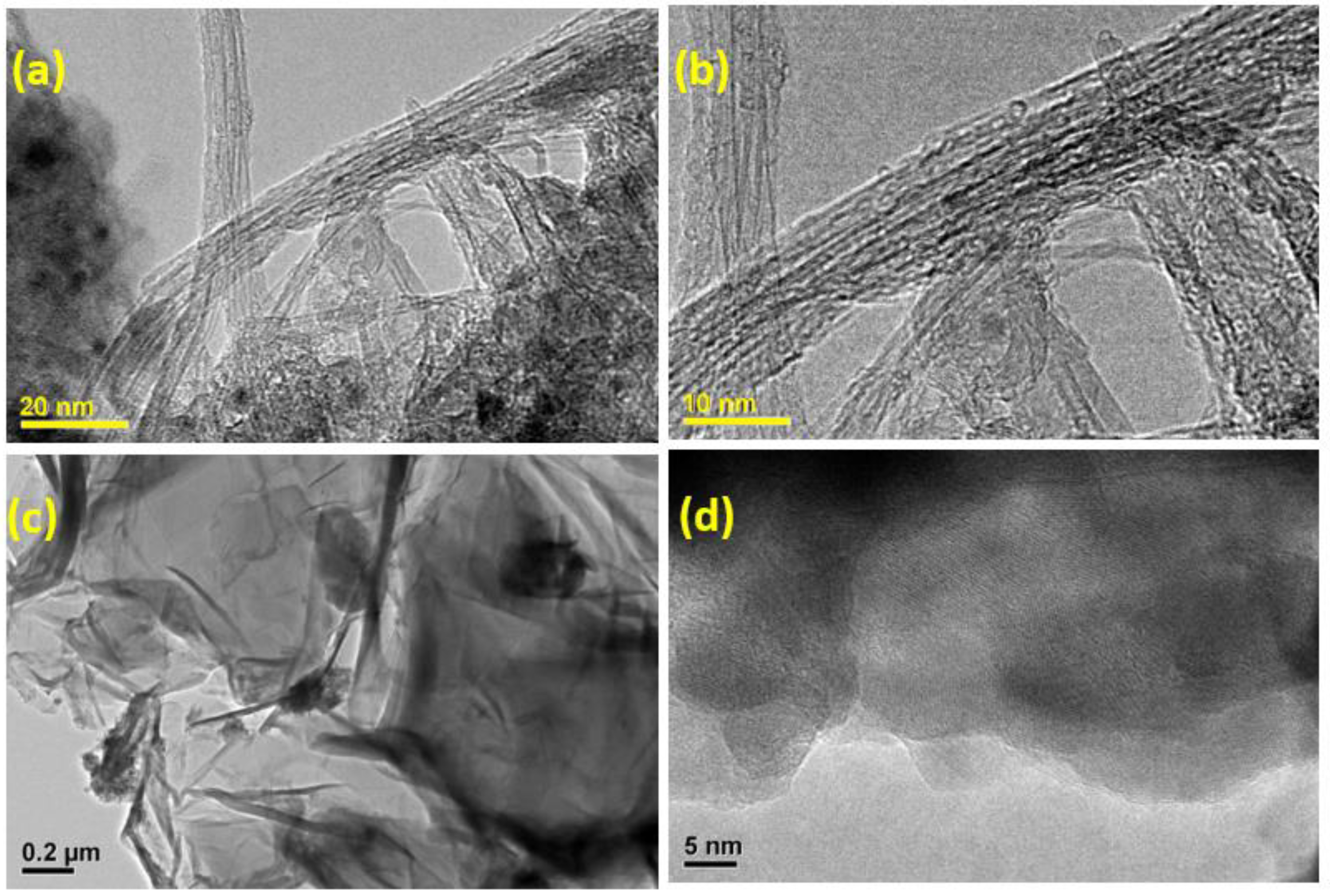 Nanomaterials 13 00556 g003