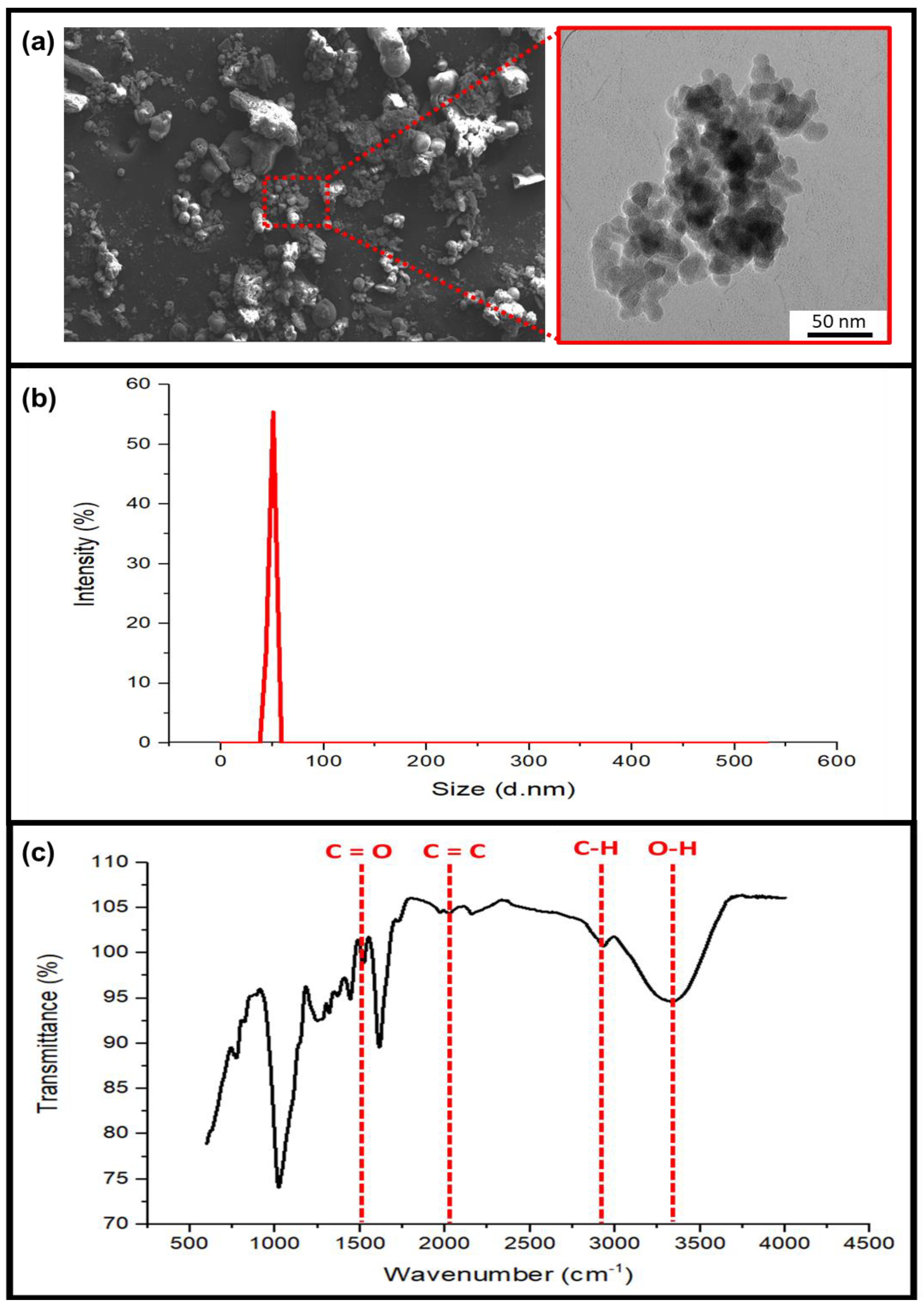 Nanomaterials 13 00560 g001