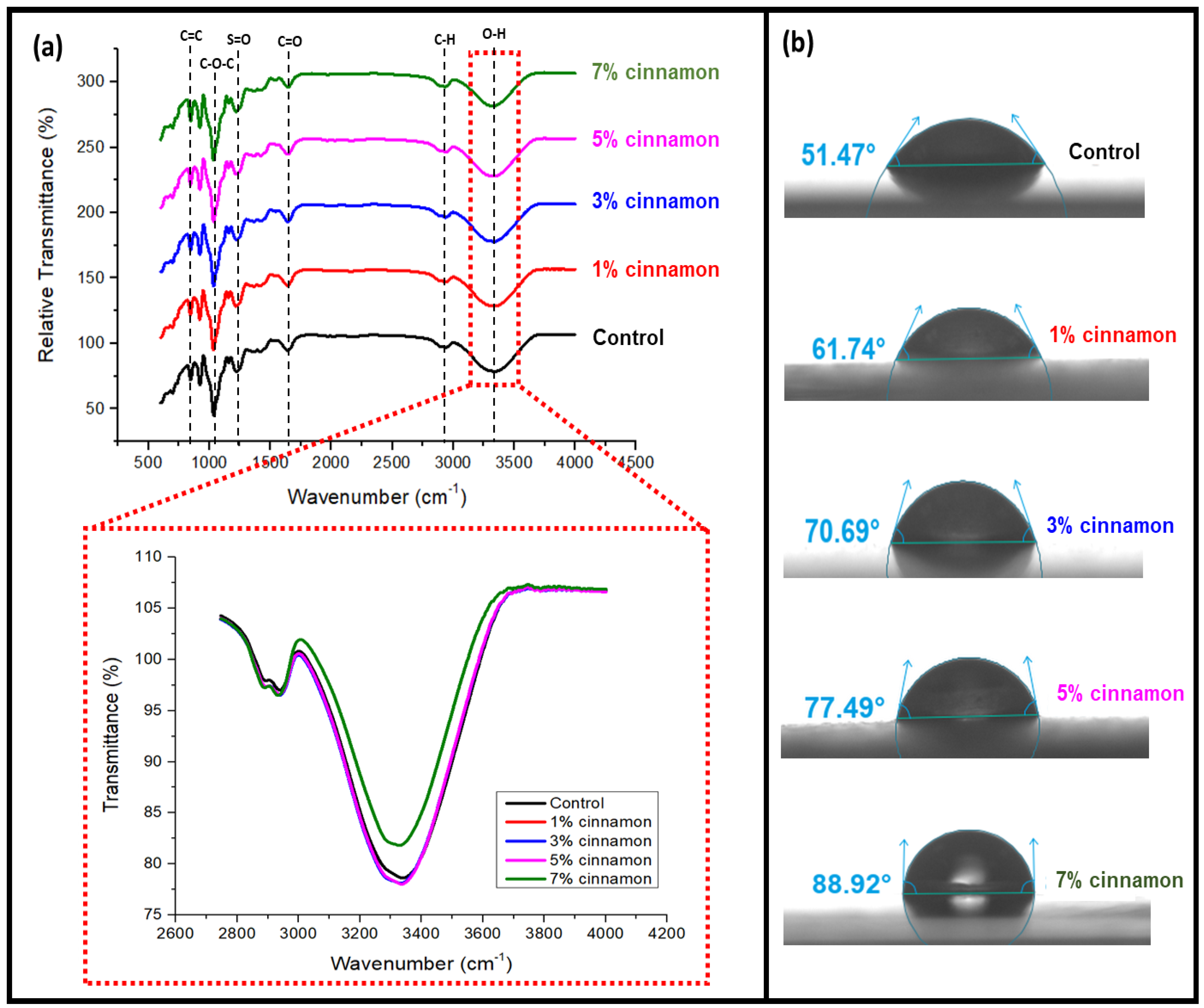 Nanomaterials 13 00560 g002