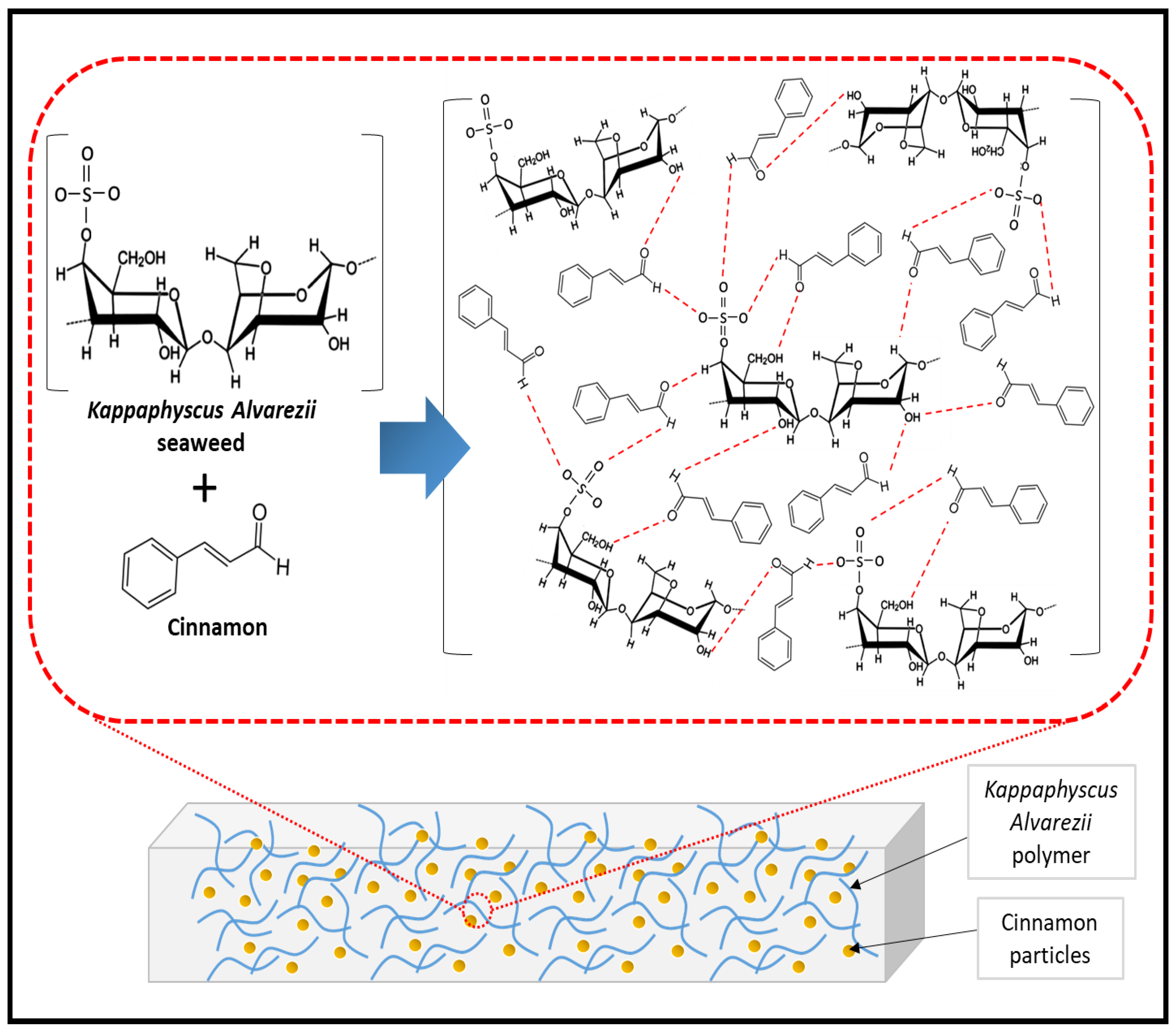 Nanomaterials 13 00560 g004