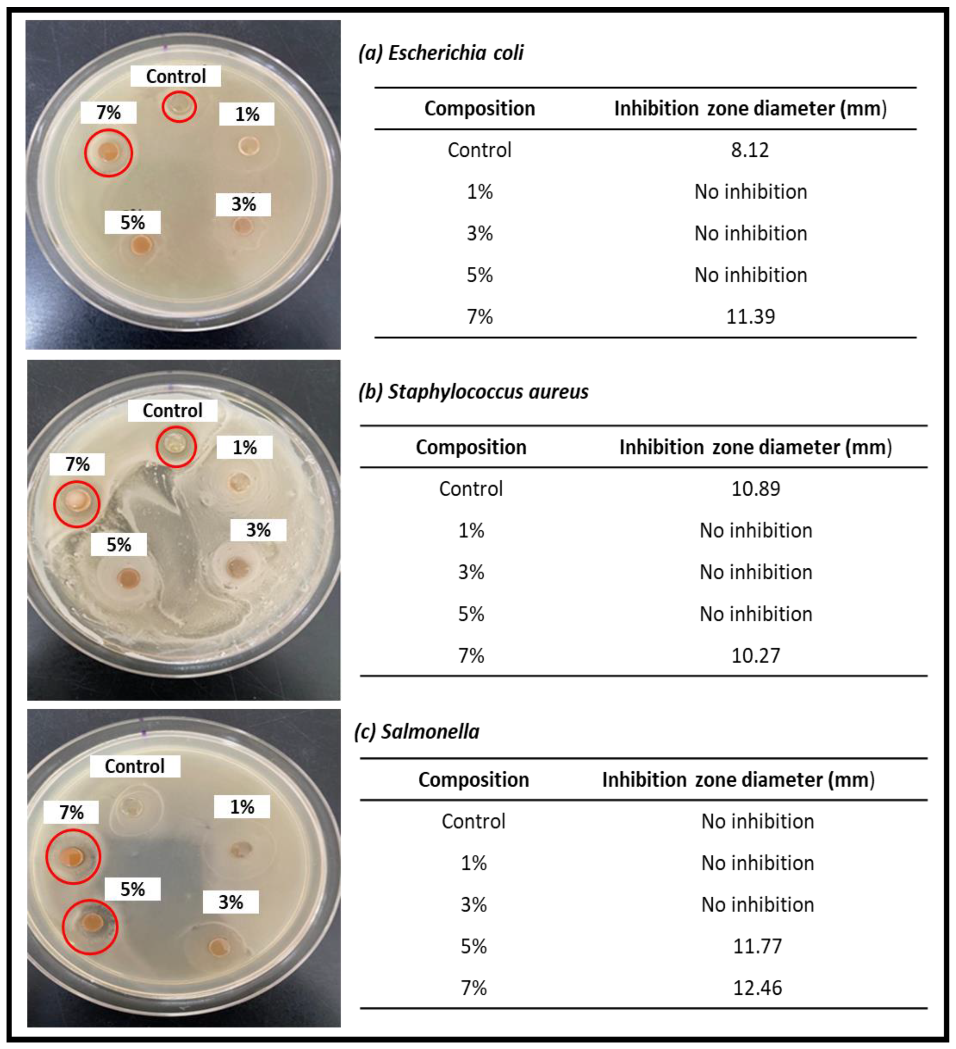 Nanomaterials 13 00560 g006