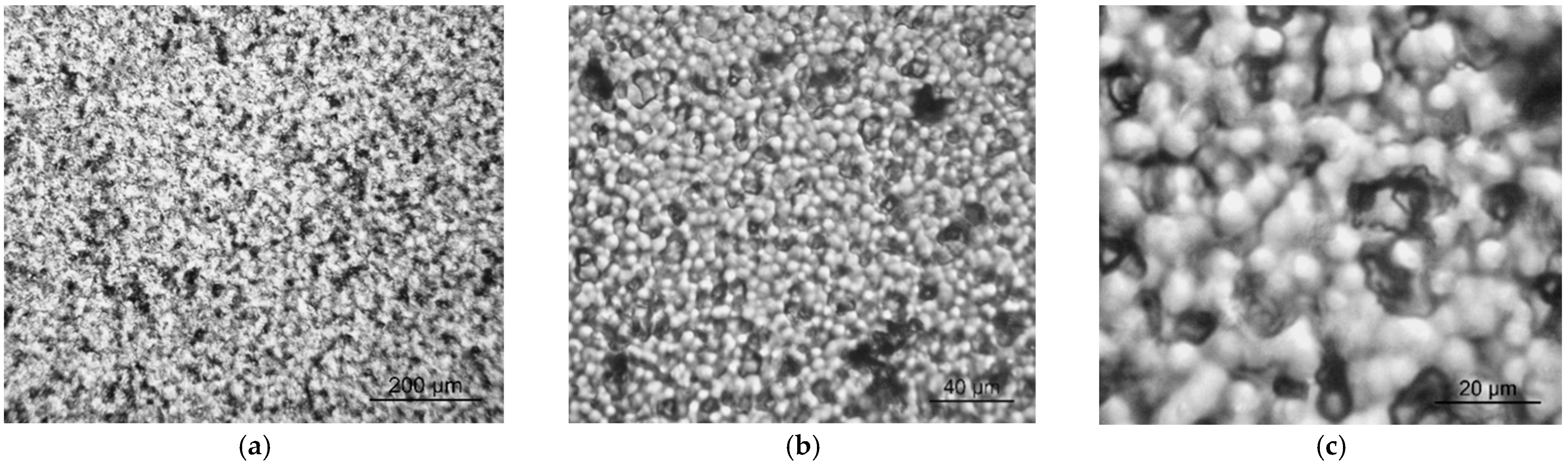 Nanomaterials 13 00564 g004 Nanomaterials 13 00564 g004