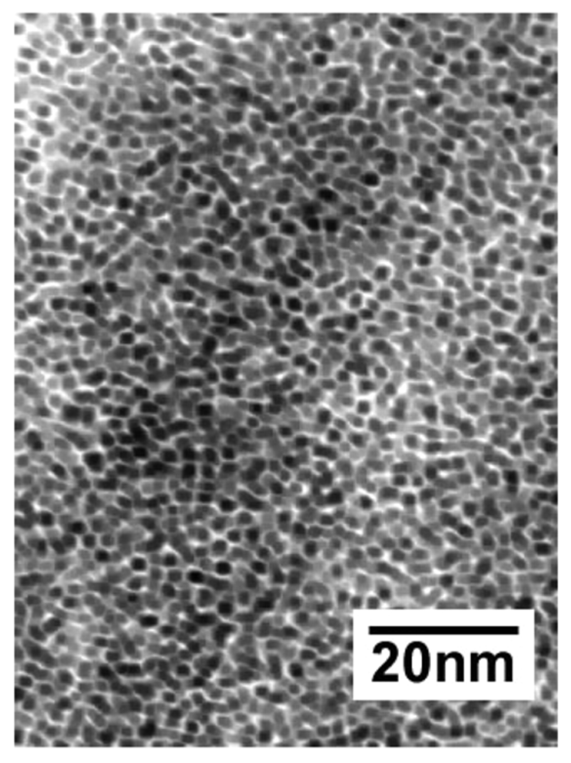 Nanomaterials 13 00565 g010
