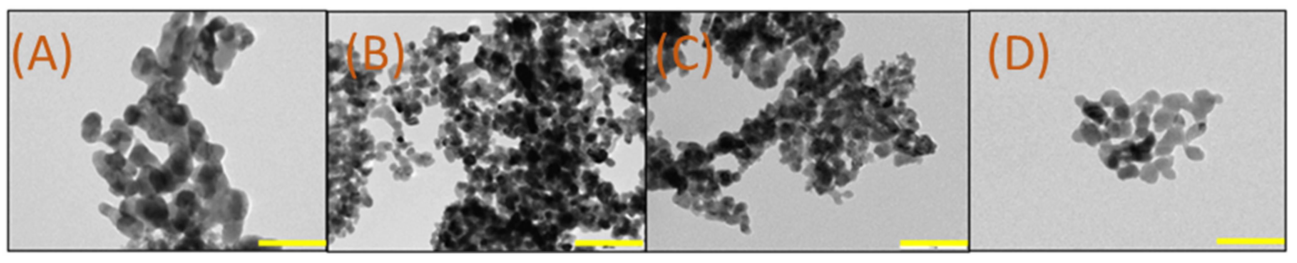 Nanomaterials 13 00566 g002