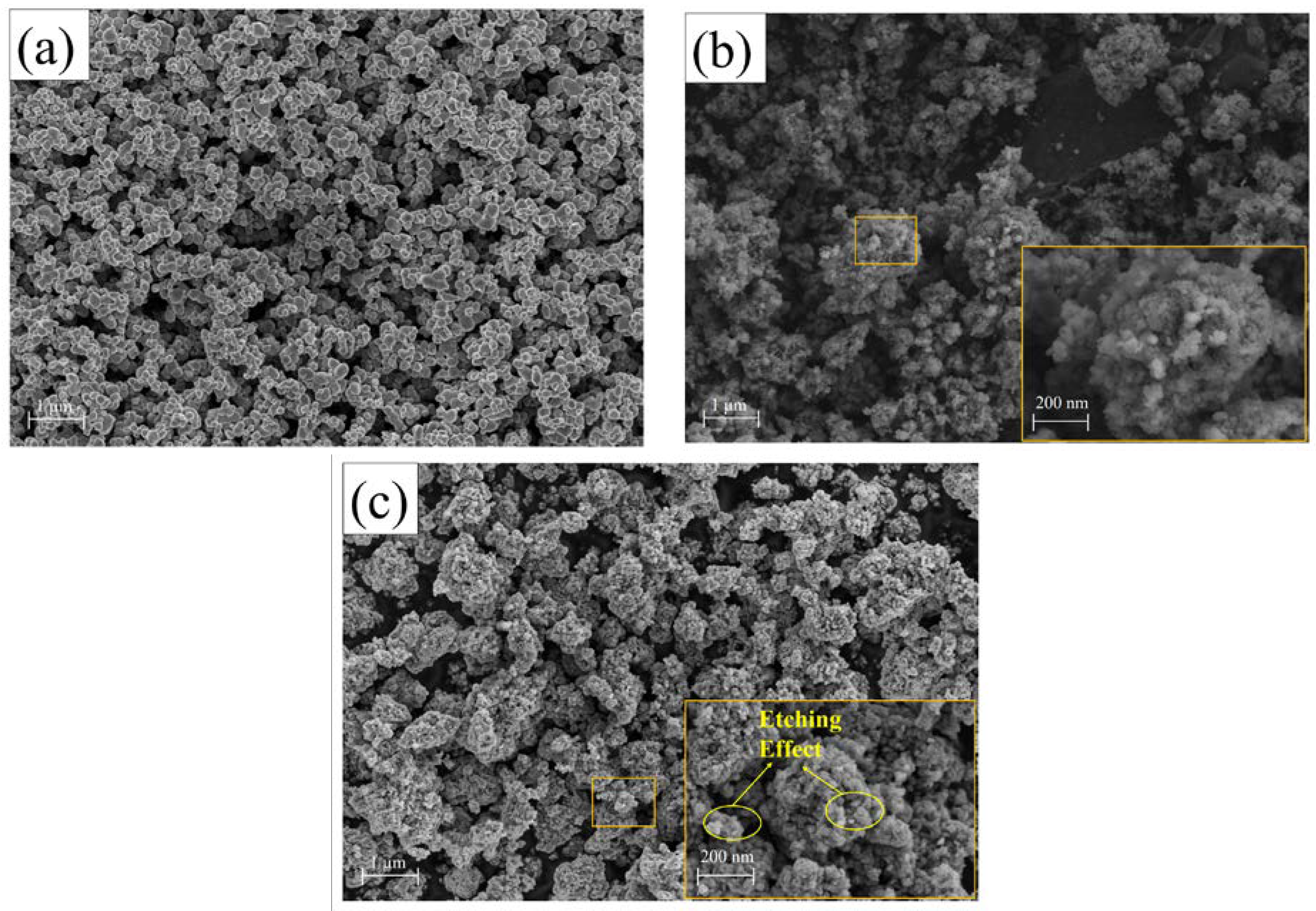 Nanomaterials 13 00570 g003