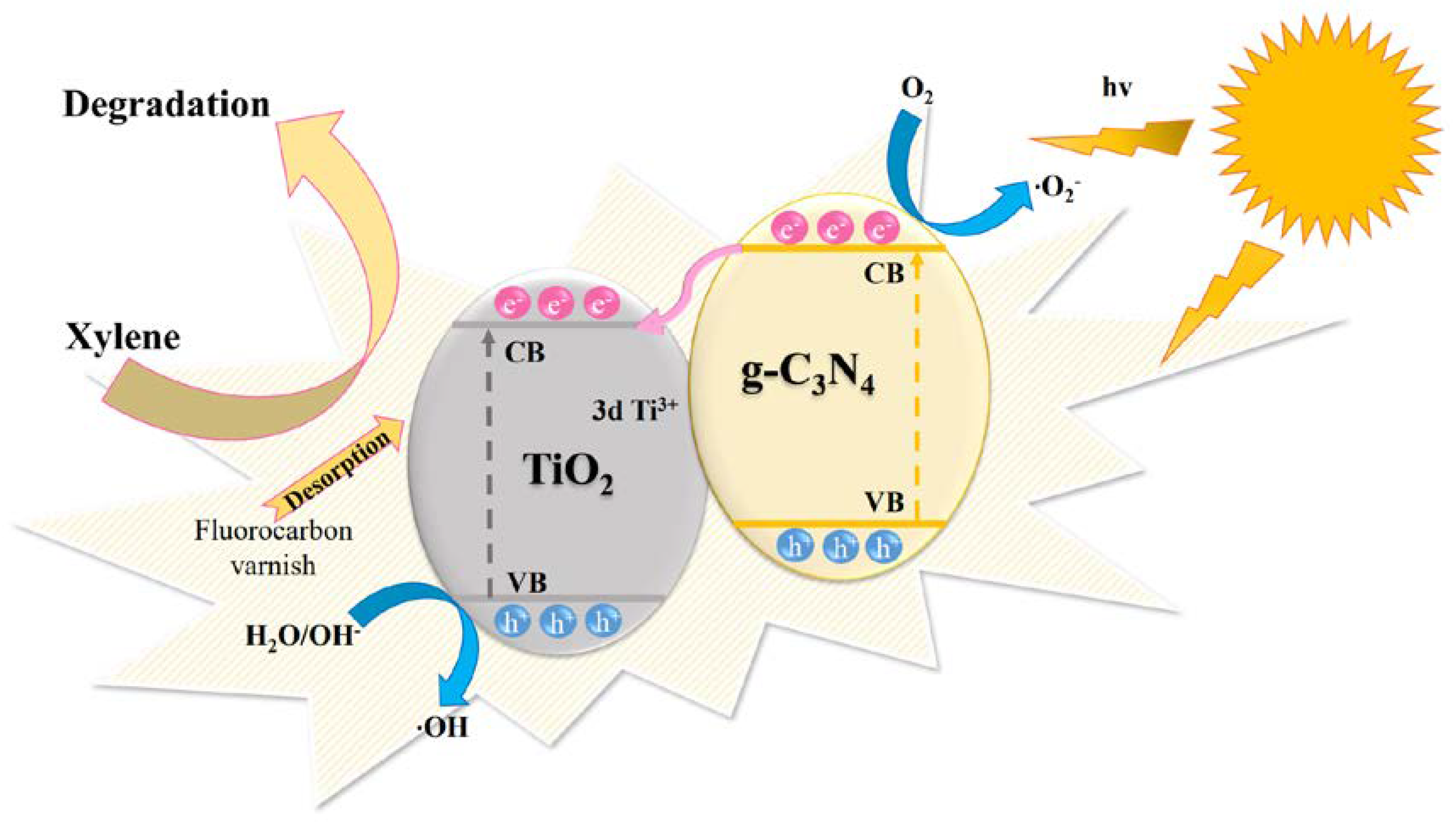 Nanomaterials 13 00570 g013