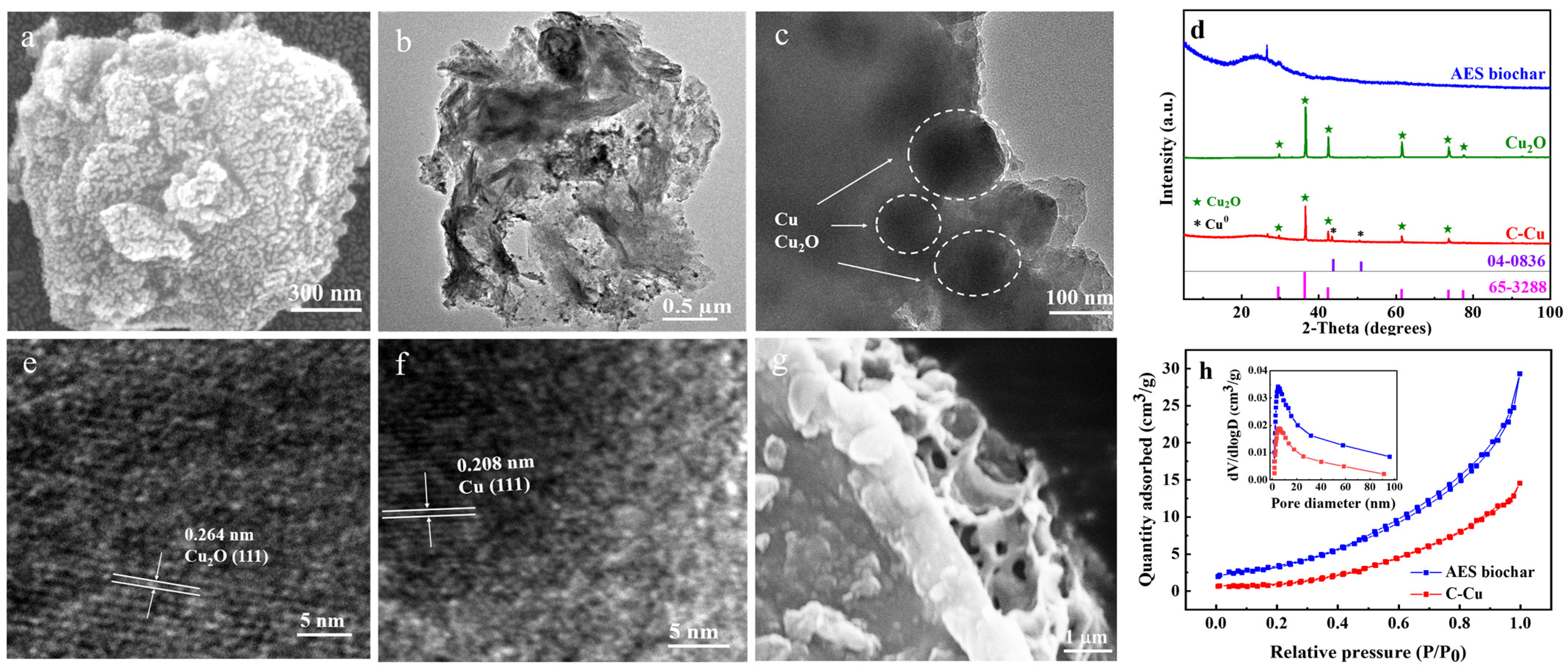 Nanomaterials 13 00576 g001 Nanomaterials 13 00576 g001