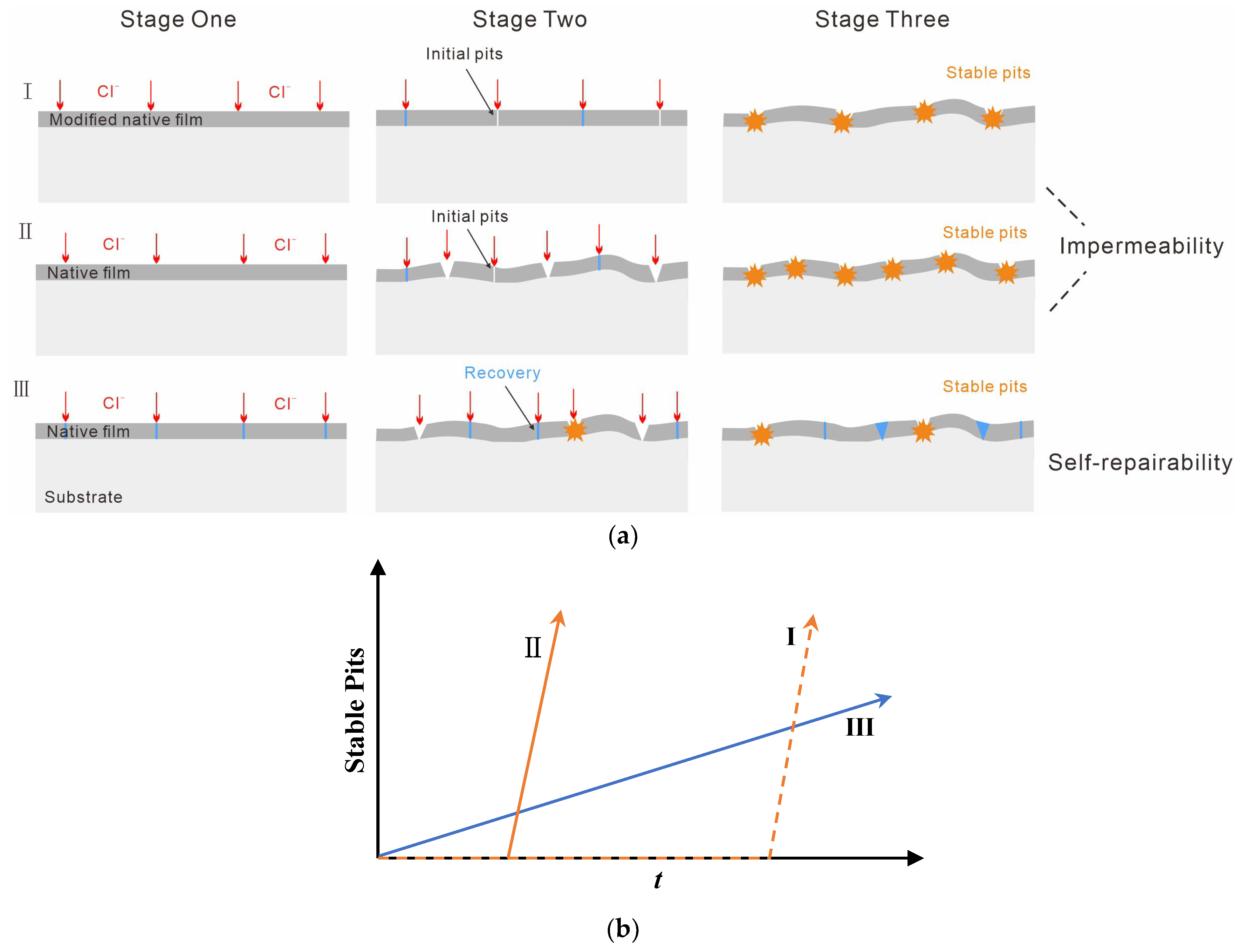 Nanomaterials 13 00578 g001