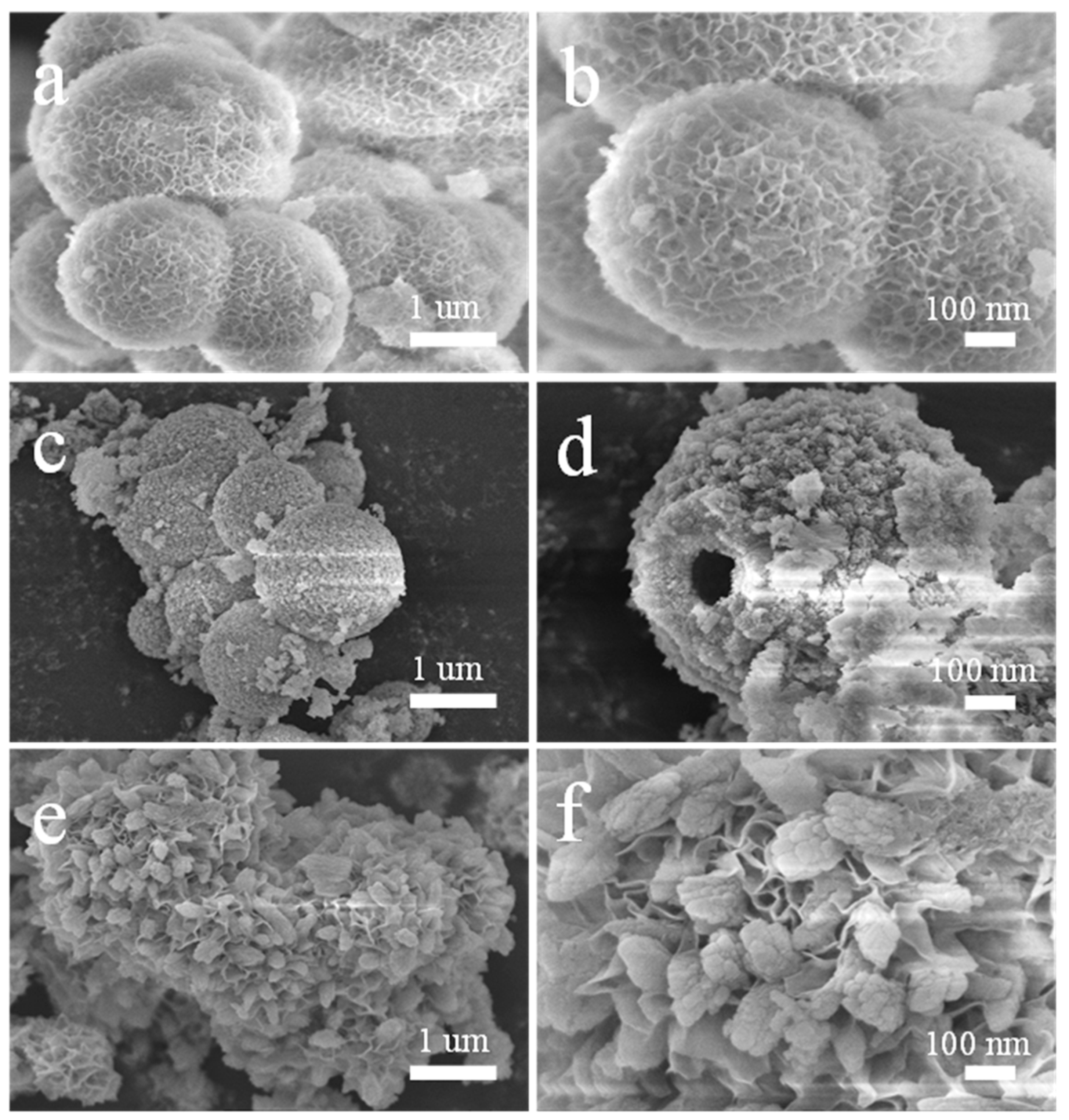 Nanomaterials 13 00581 g002 550