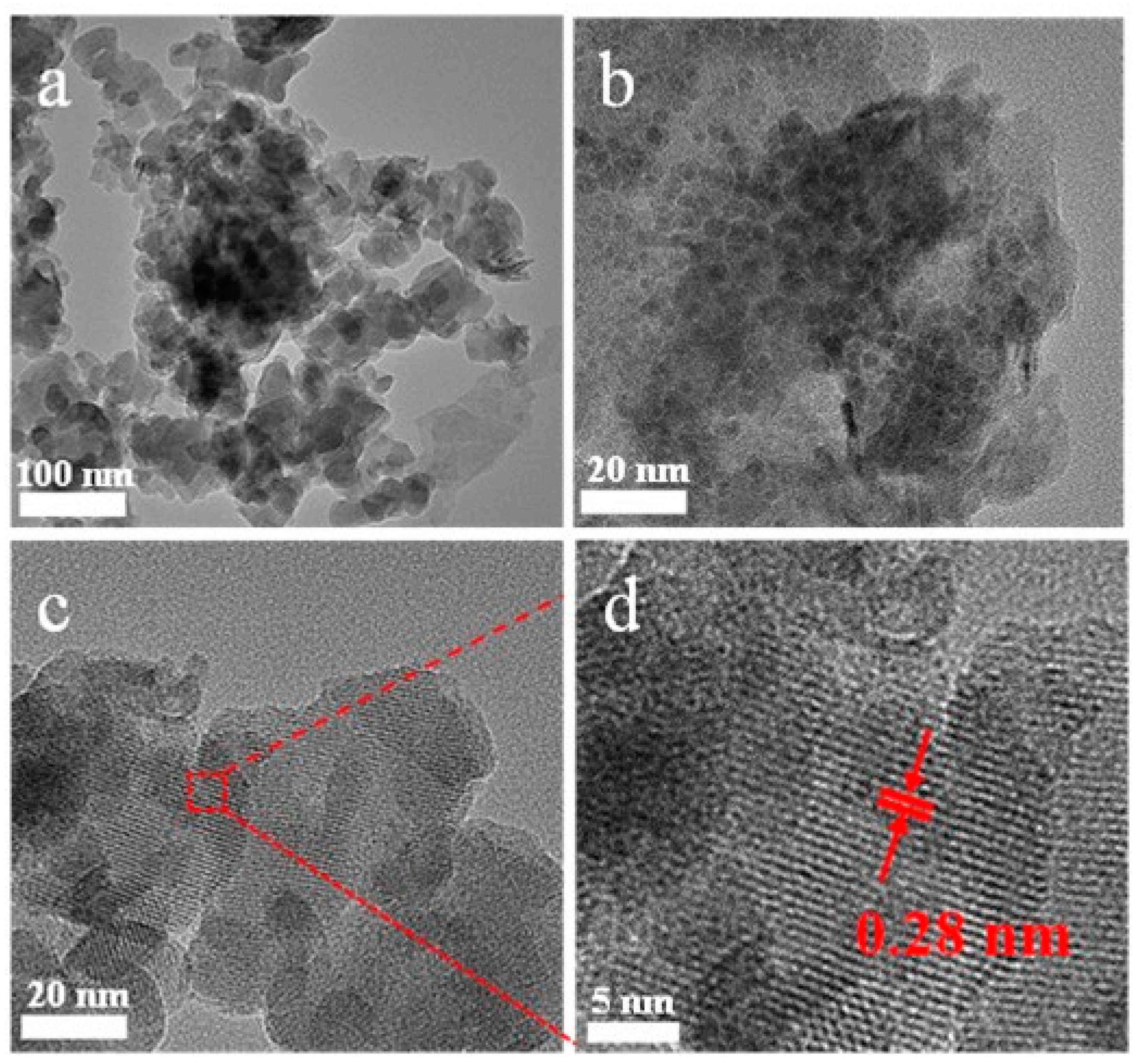 Nanomaterials 13 00581 g005 550