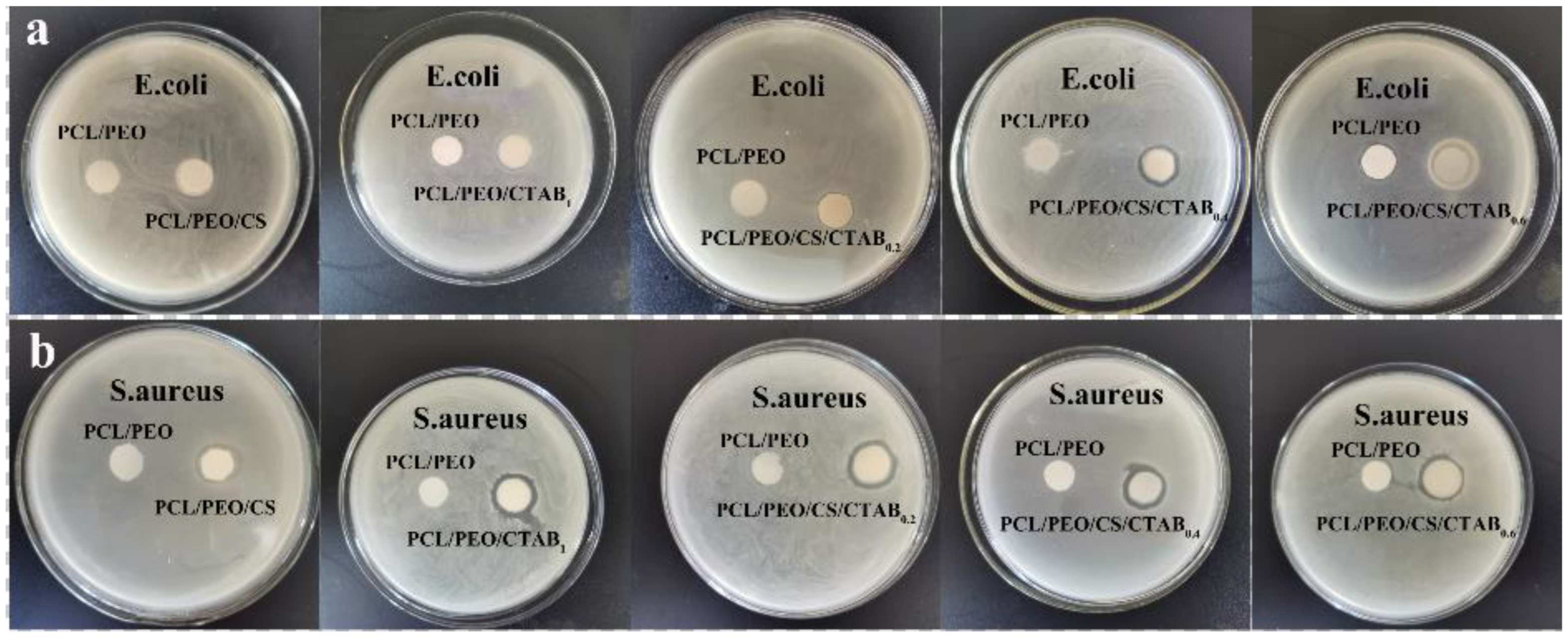 Nanomaterials 13 00583 g007 Nanomaterials 13 00583 g007