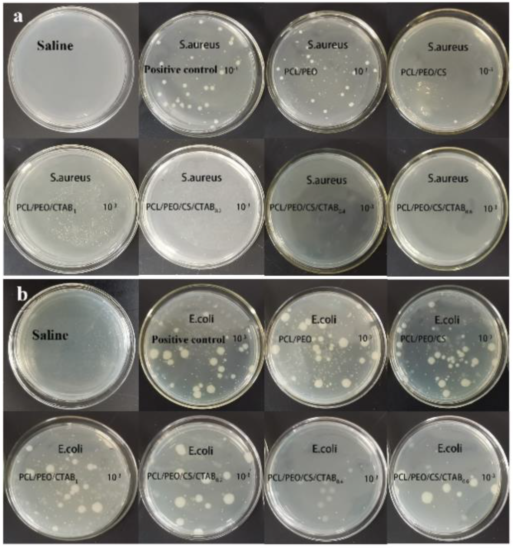 Nanomaterials 13 00583 g008 Nanomaterials 13 00583 g008