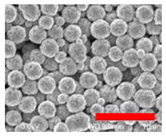 Nanomaterials 13 00587 i001 Nanomaterials 13 00587 i001