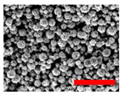 Nanomaterials 13 00587 i003 Nanomaterials 13 00587 i003