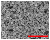 Nanomaterials 13 00587 i004 Nanomaterials 13 00587 i004