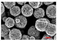 Nanomaterials 13 00587 i005 Nanomaterials 13 00587 i005