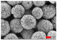 Nanomaterials 13 00587 i006 Nanomaterials 13 00587 i006