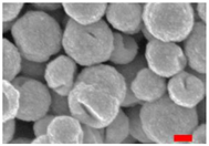 Nanomaterials 13 00587 i007 Nanomaterials 13 00587 i007