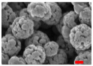 Nanomaterials 13 00587 i008 Nanomaterials 13 00587 i008