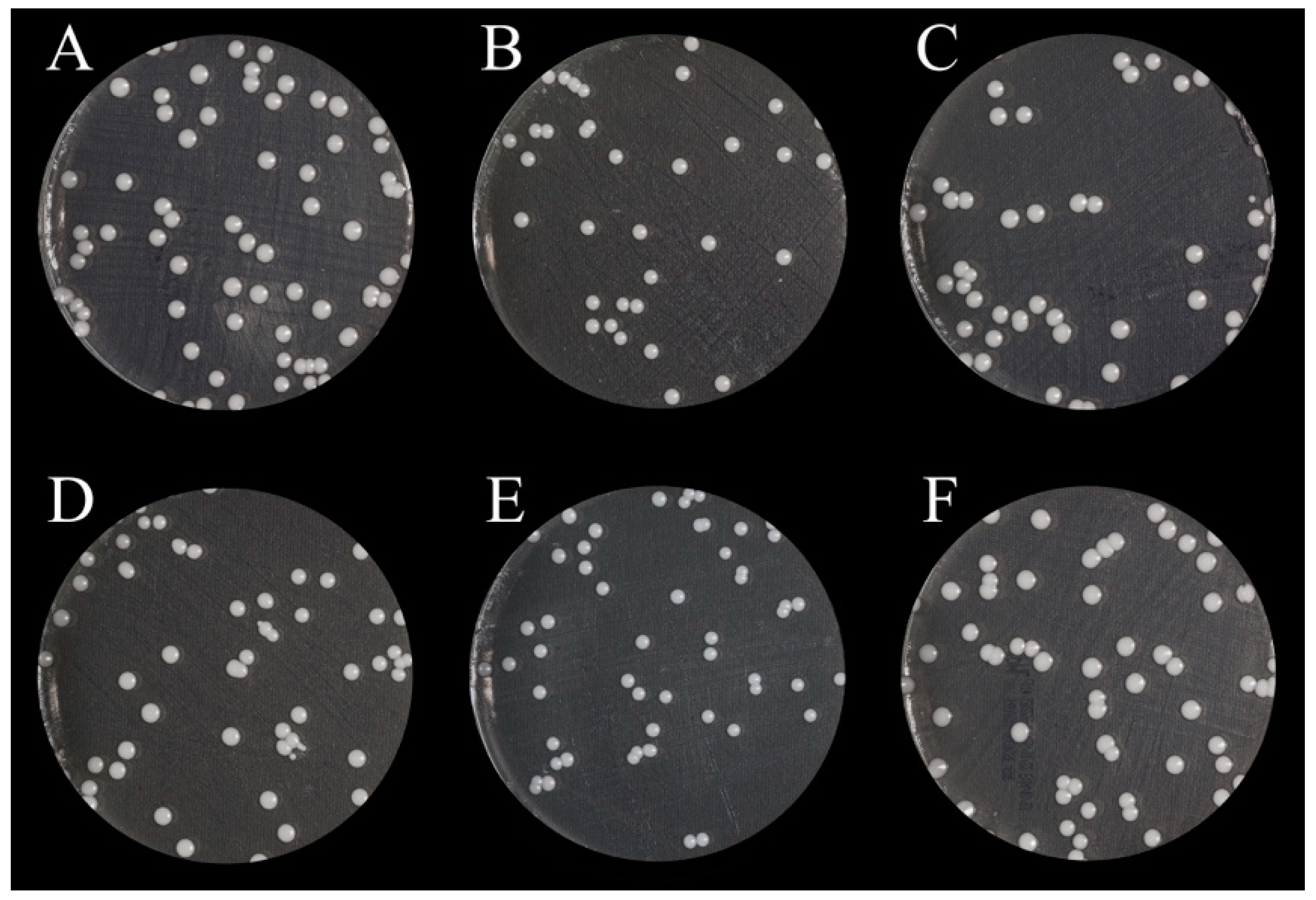 Nanomaterials 13 00591 g003 Nanomaterials 13 00591 g003