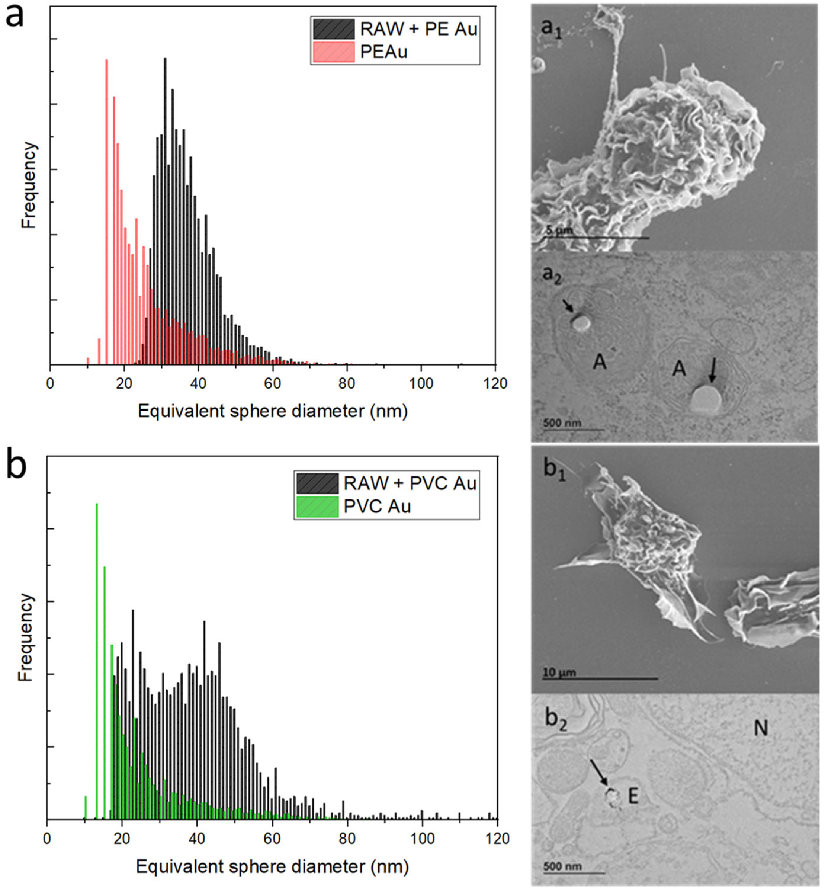 Nanomaterials 13 00594 g003 550