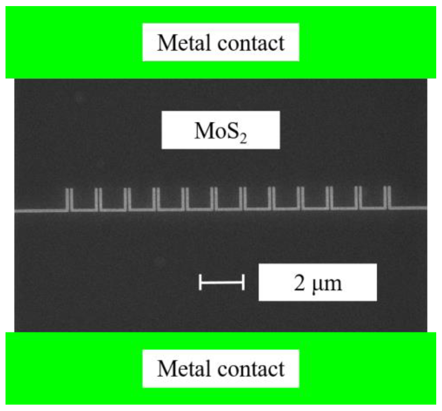 Nanomaterials 13 00595 g017
