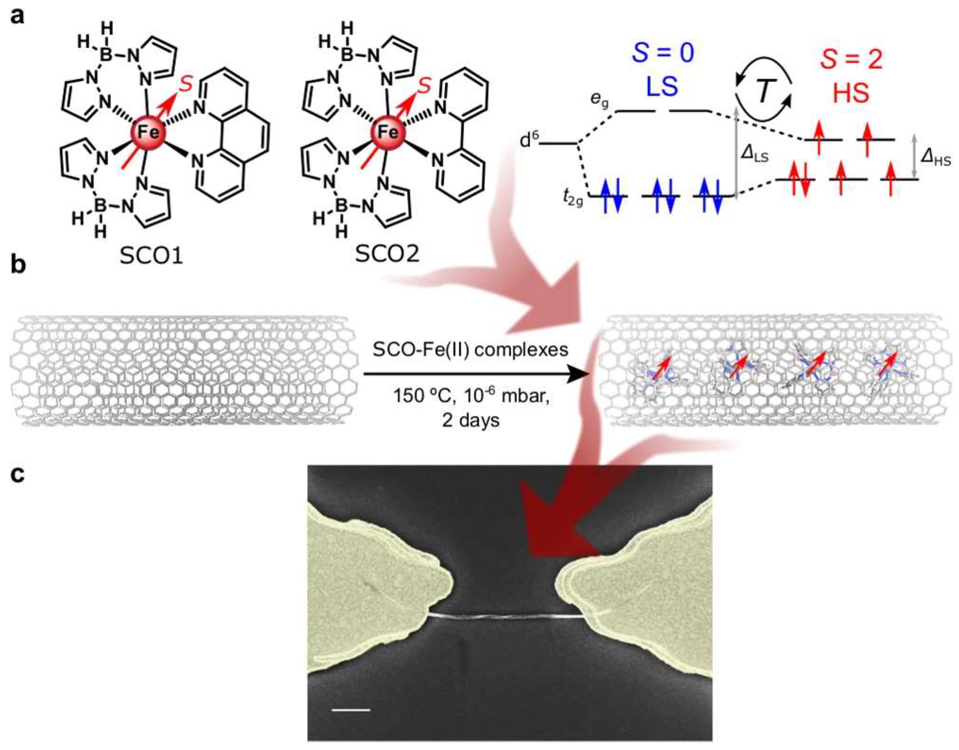 Nanomaterials 13 00598 g005 Nanomaterials 13 00598 g005