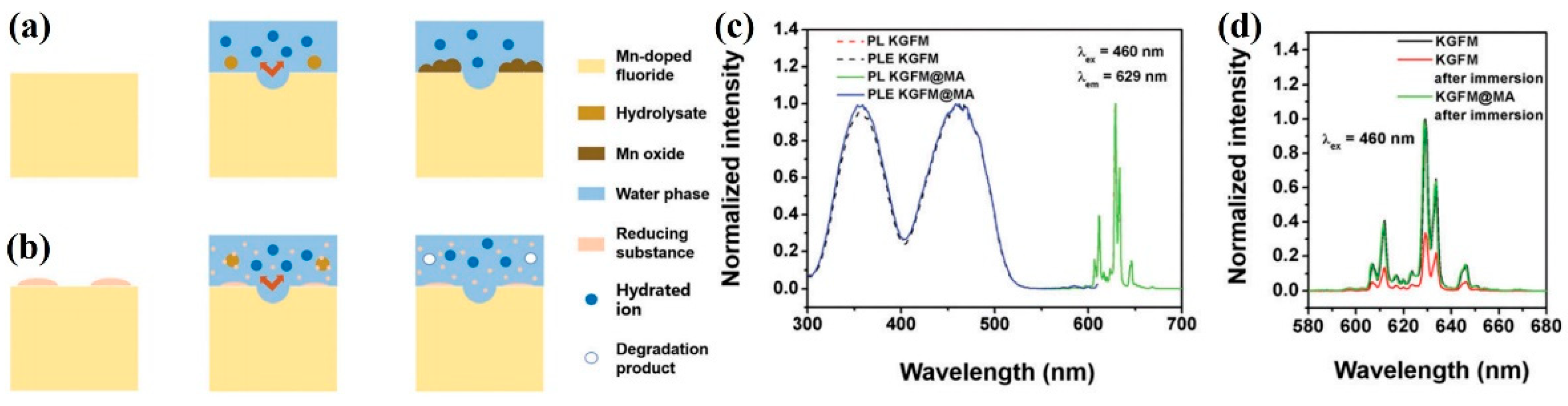 Nanomaterials 13 00599 g012 Nanomaterials 13 00599 g012