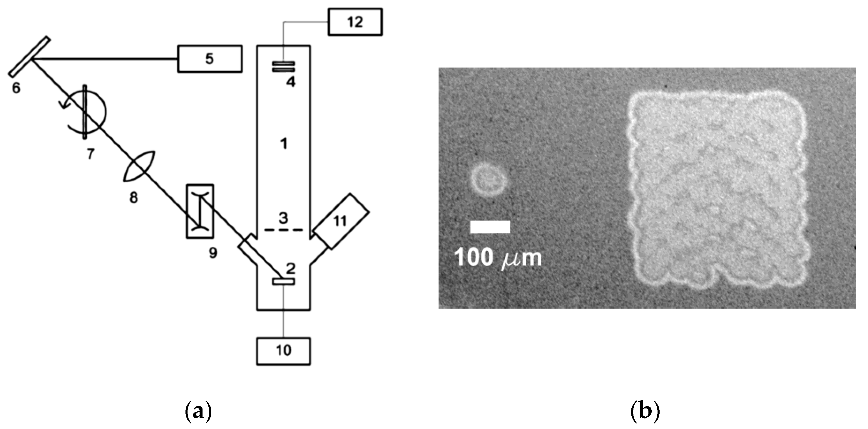Nanomaterials 13 00600 g001