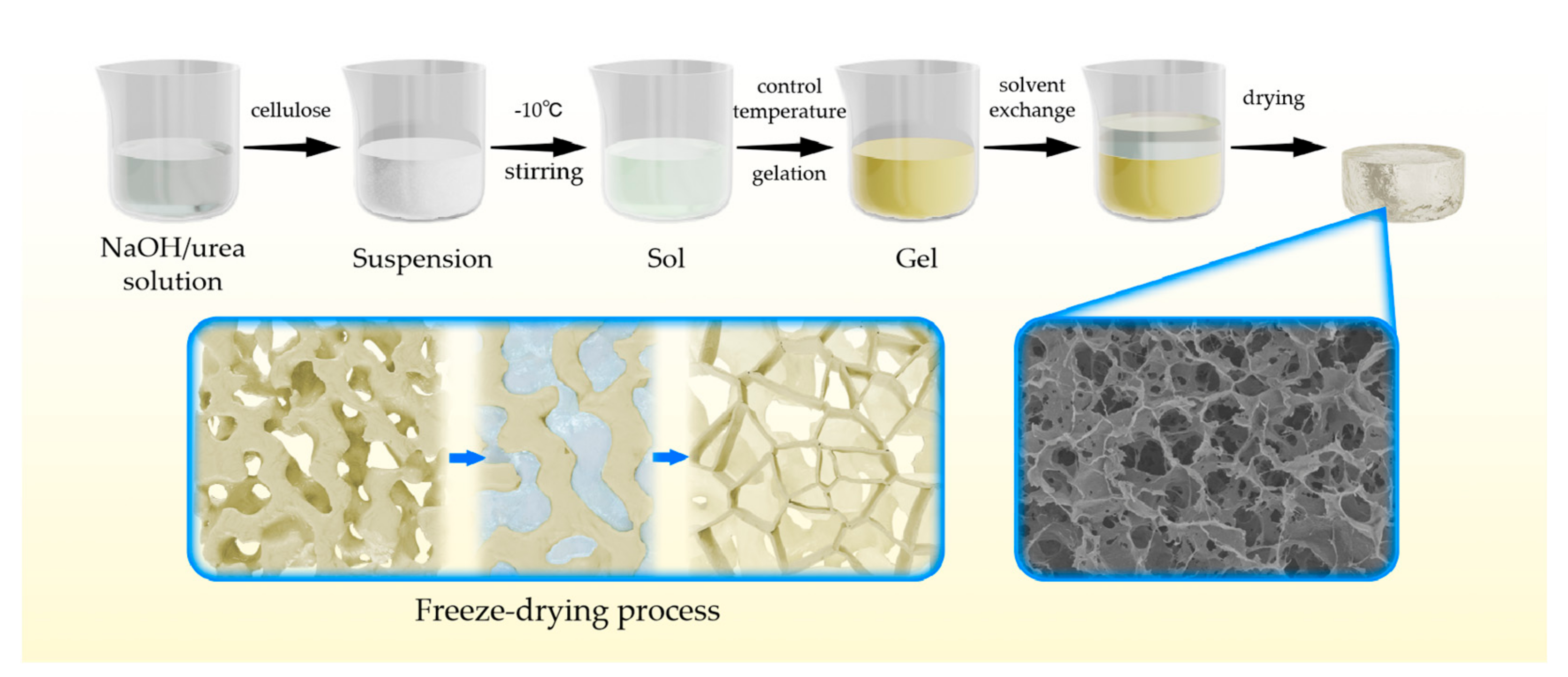 Nanomaterials Free Full Text Facile Preparation Of Cellulose Aerogels With Controllable Pore