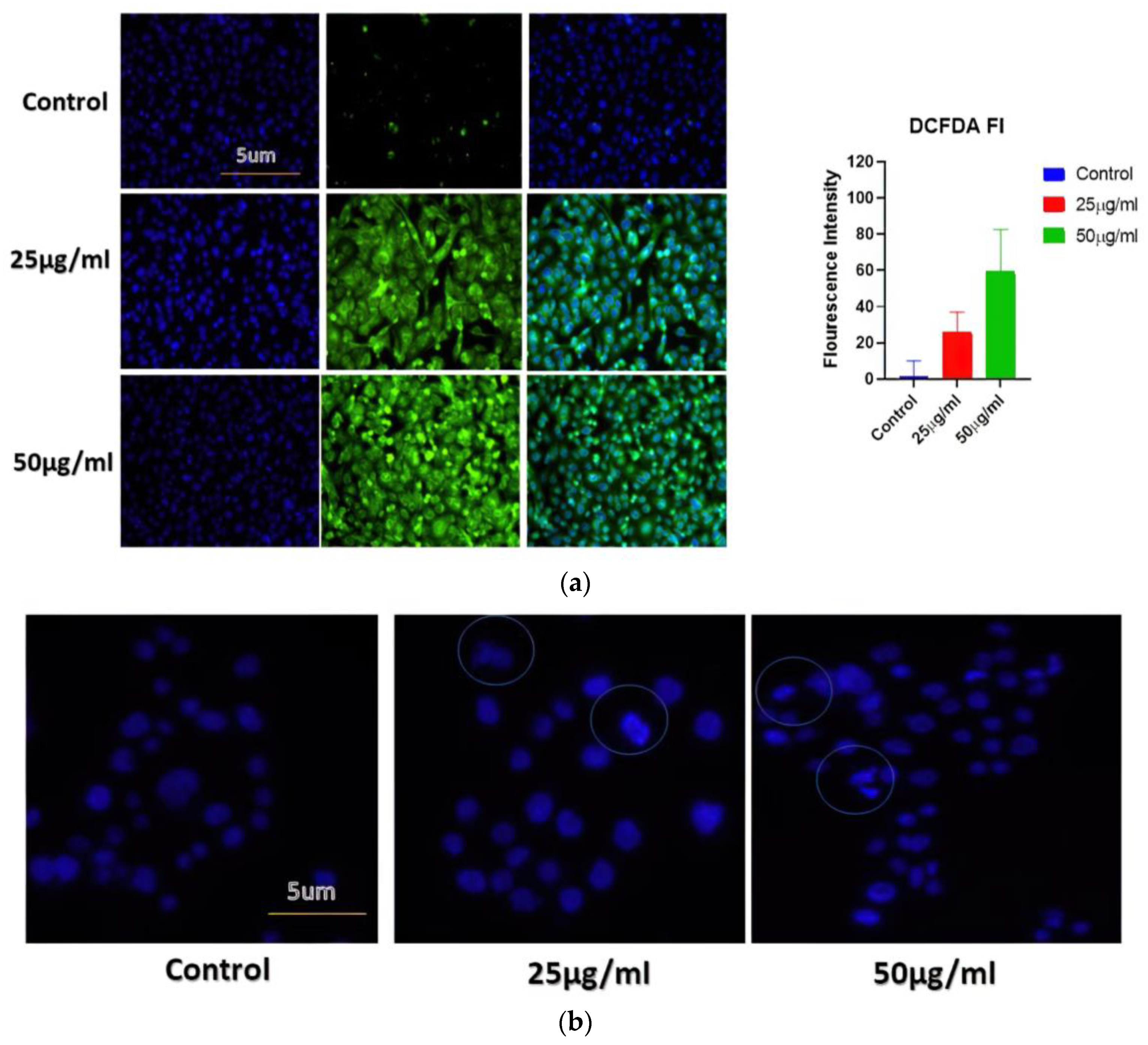 Nanomaterials 13 00615 g005