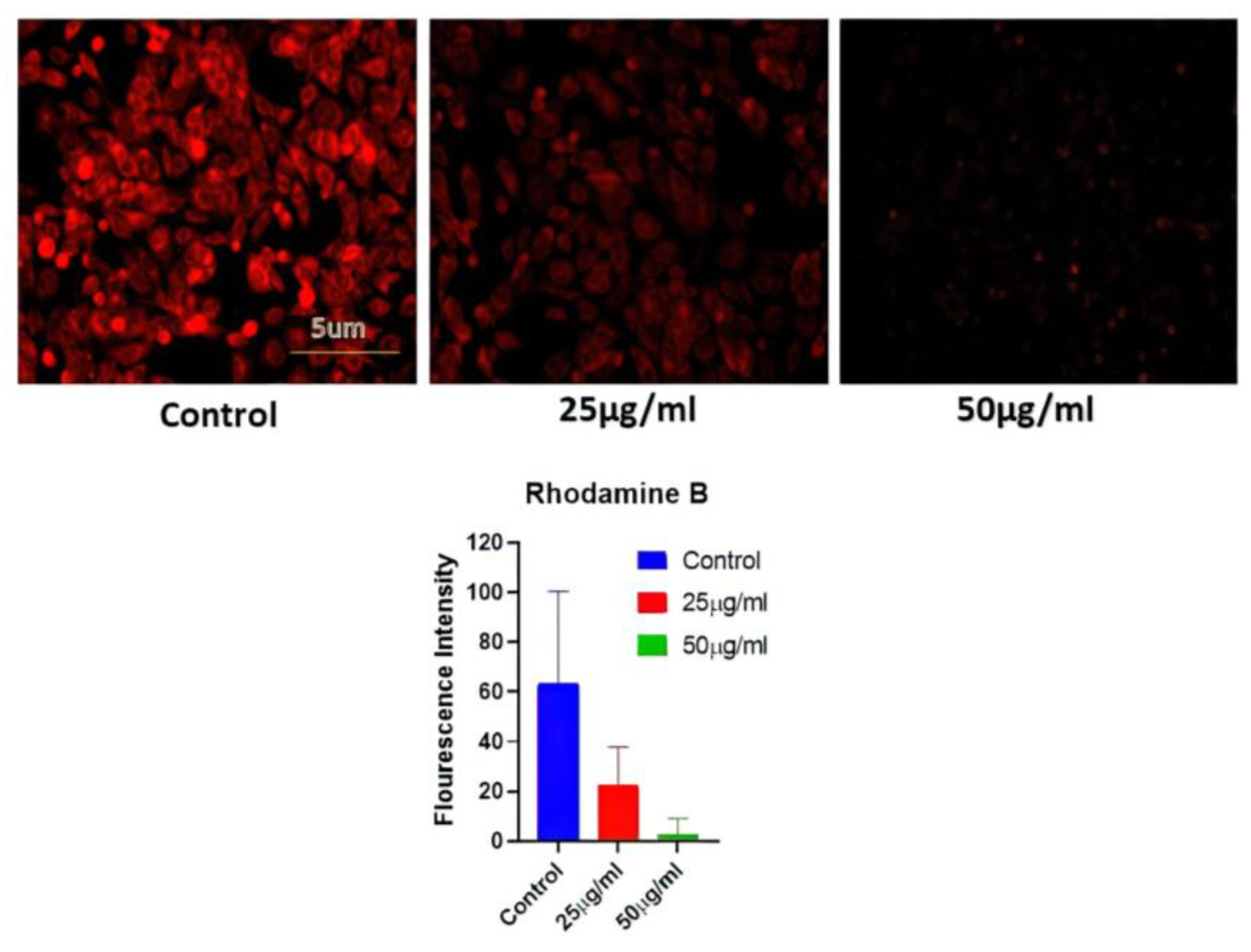 Nanomaterials 13 00615 g006