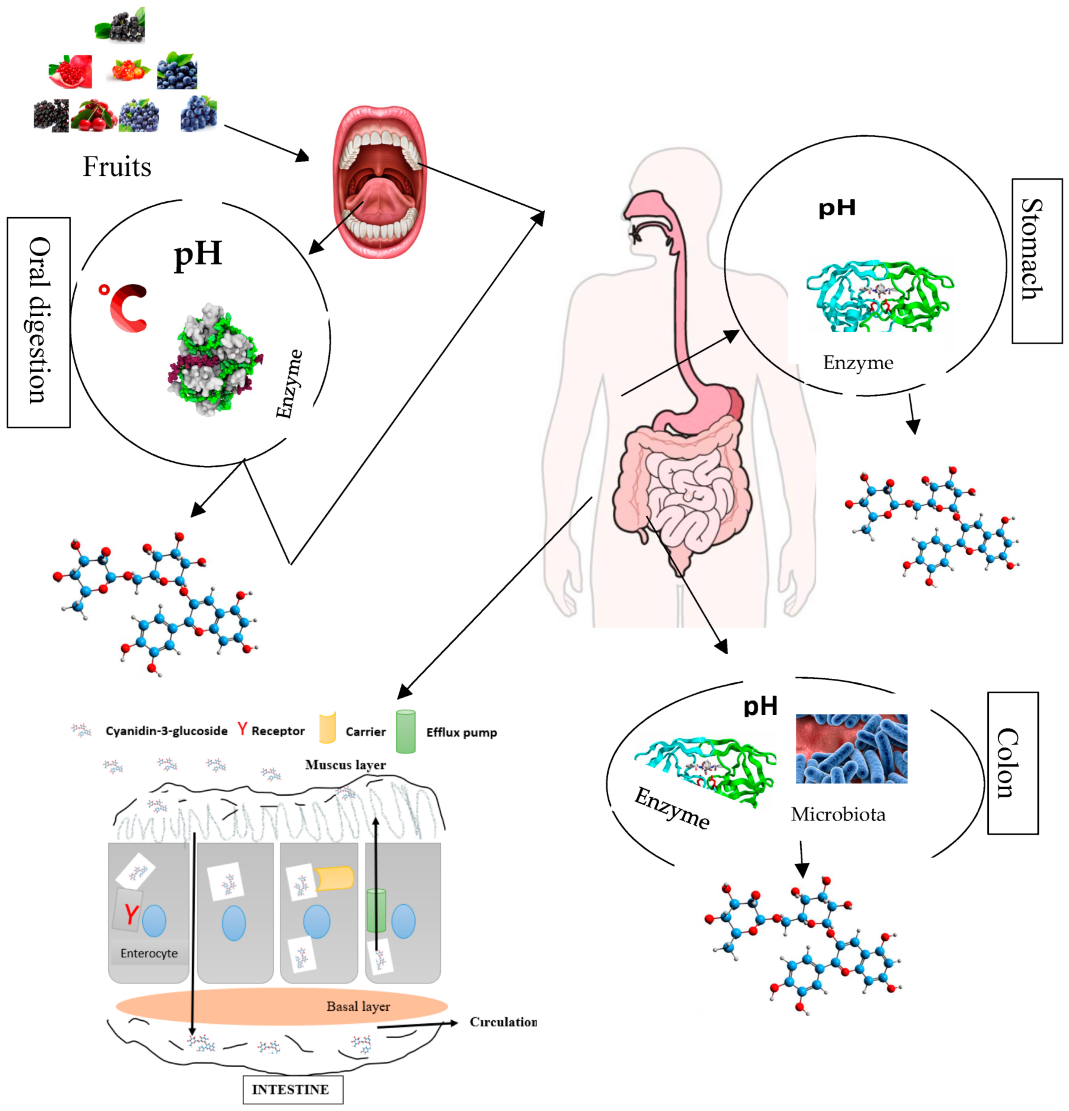 Nanomaterials 13 00617 g003 Nanomaterials 13 00617 g003