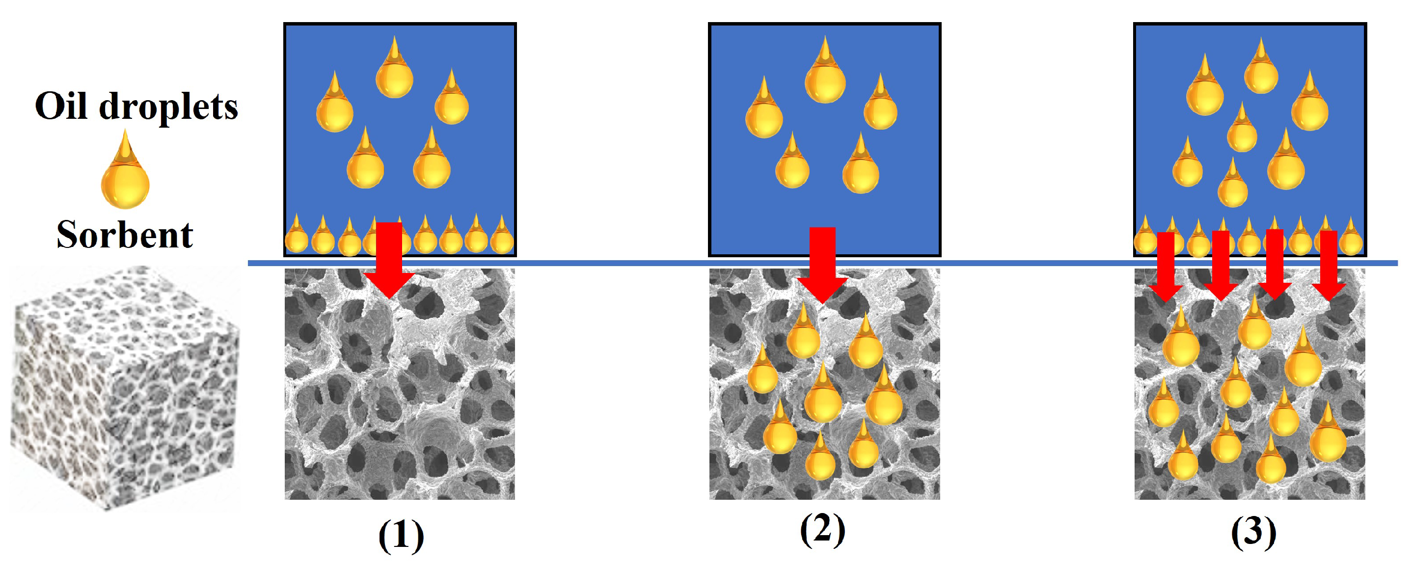Nanomaterials 13 00620 g003