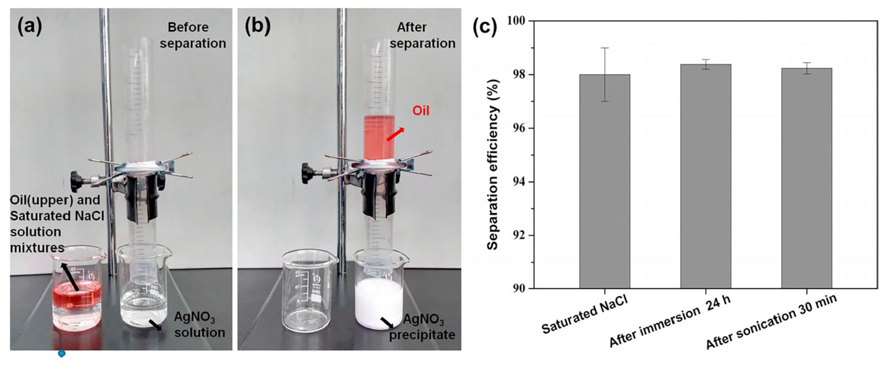 Nanomaterials 13 00620 g010