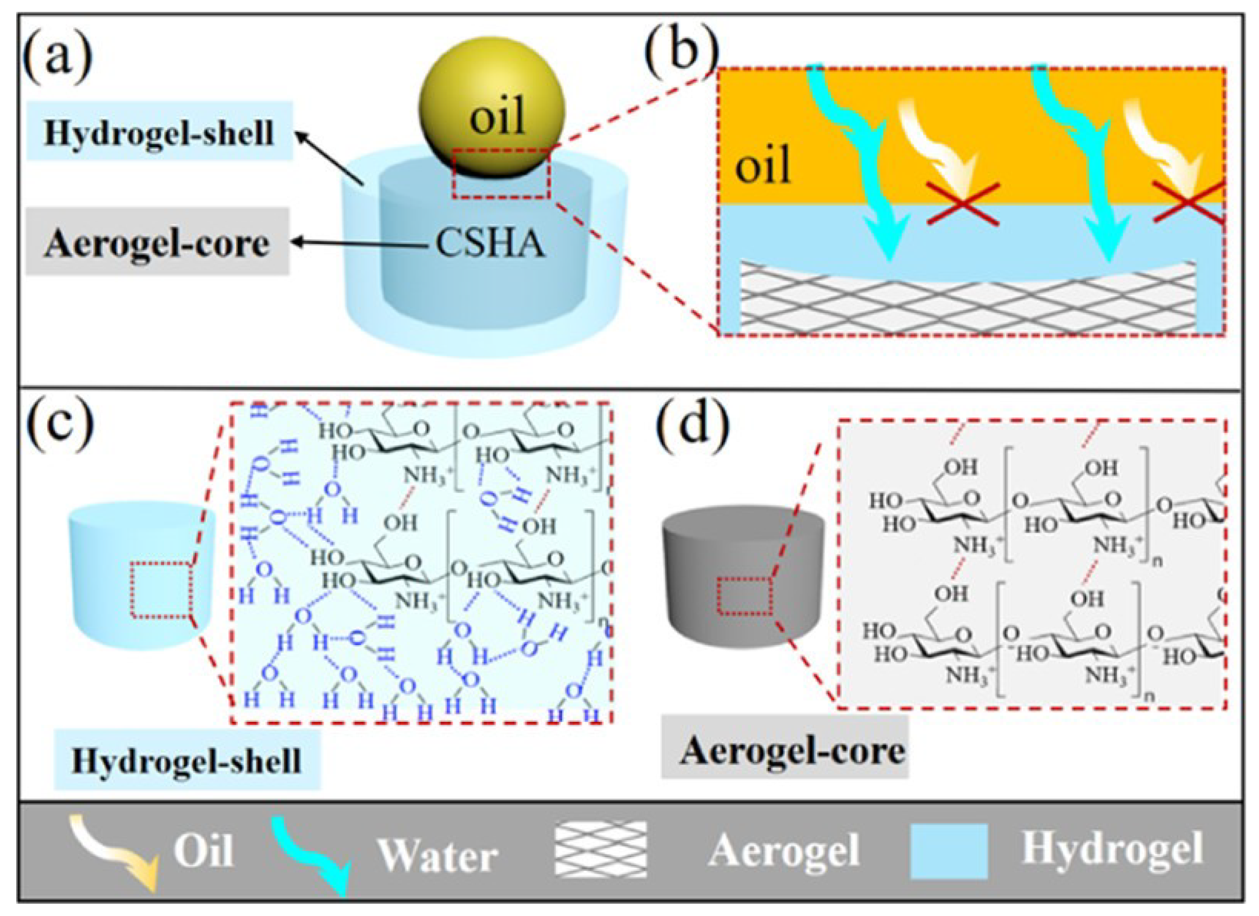Nanomaterials 13 00620 g011