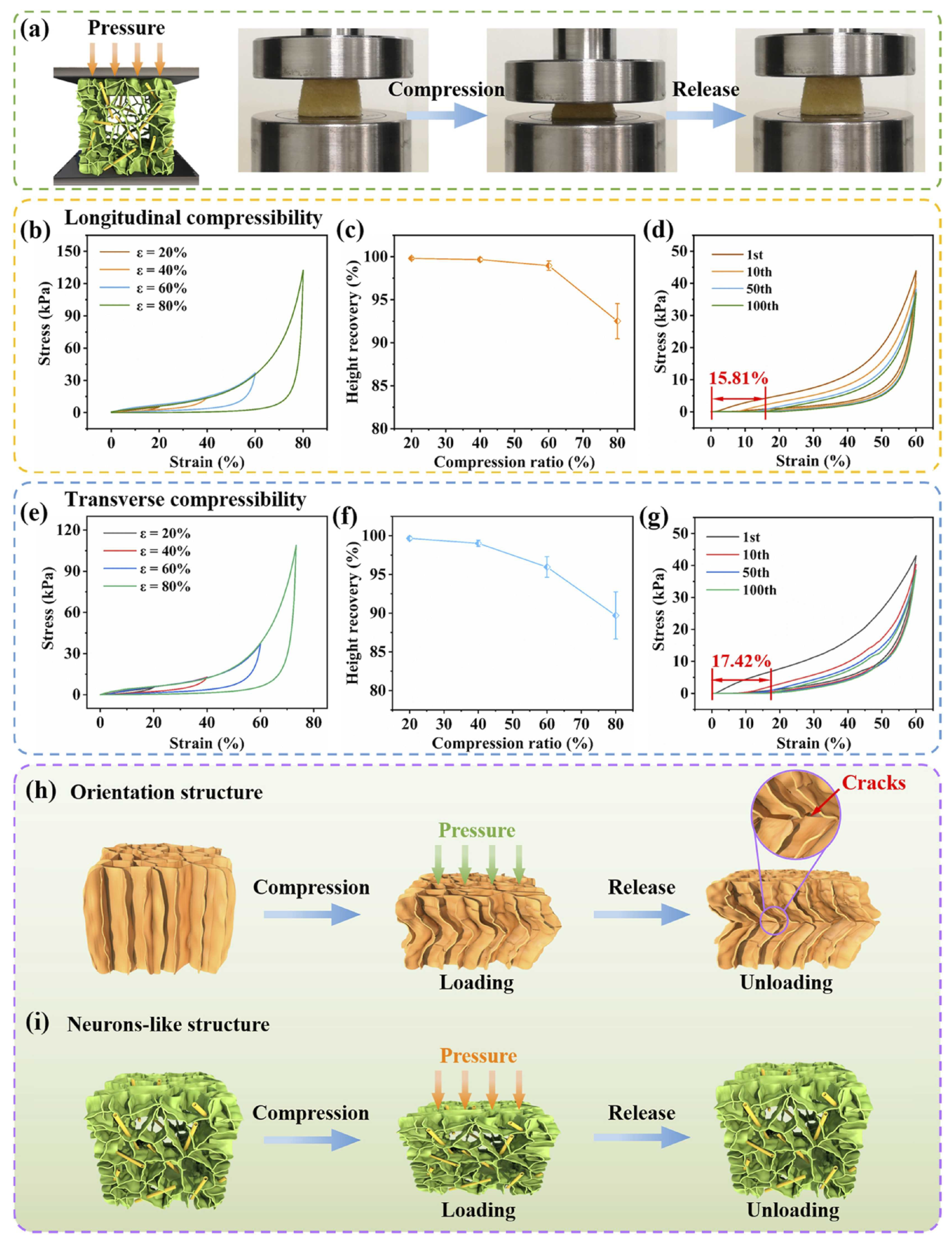 Nanomaterials 13 00620 g015