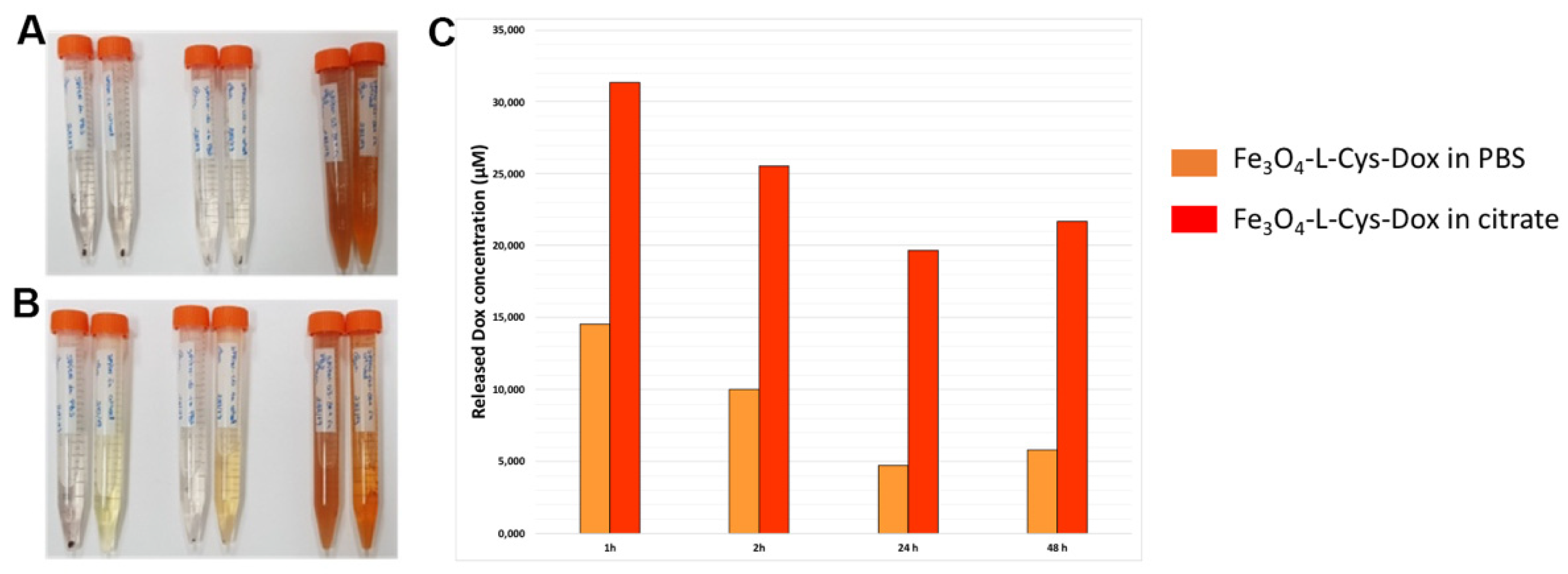 Nanomaterials 13 00621 g008 Nanomaterials 13 00621 g008