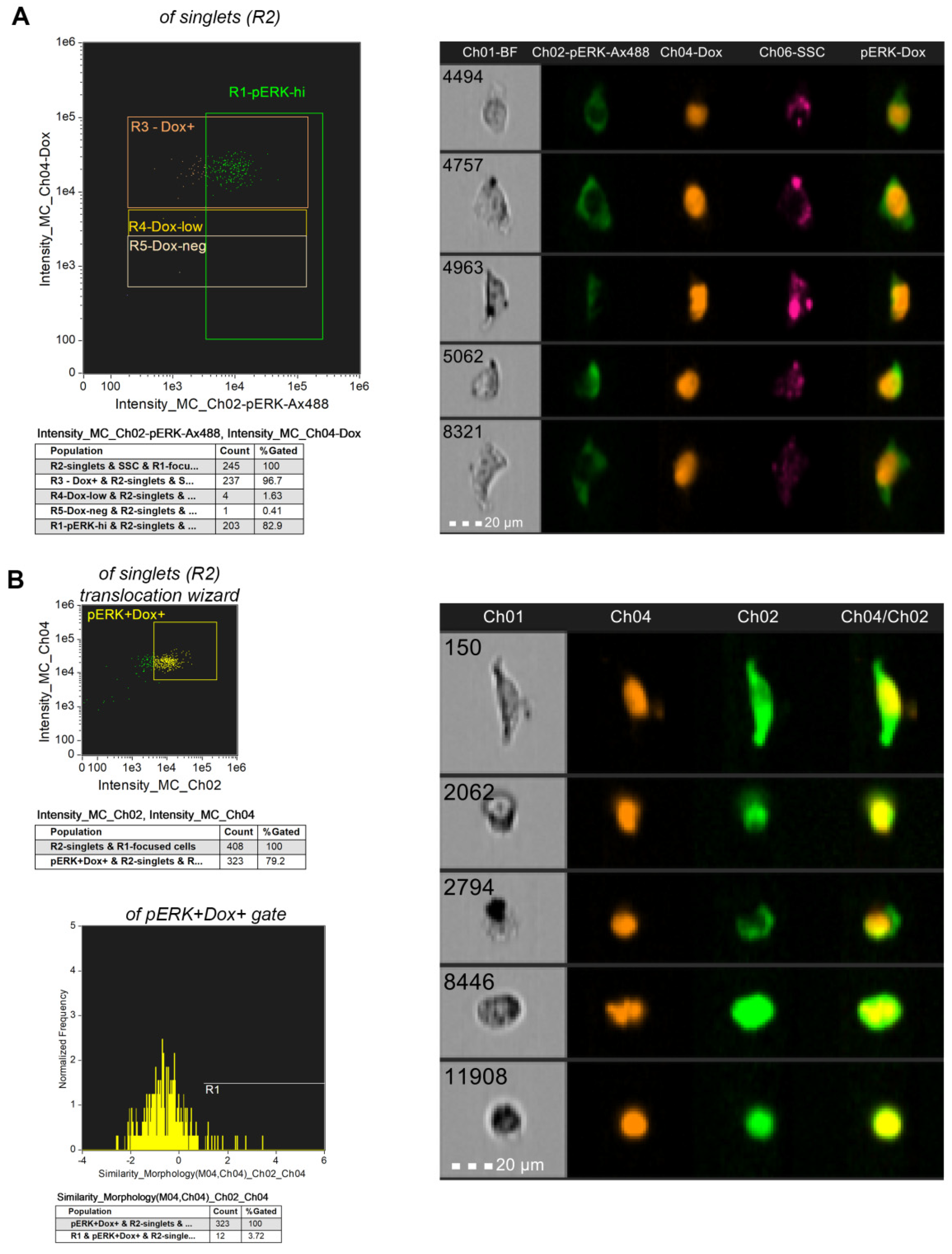 Nanomaterials 13 00621 g014 Nanomaterials 13 00621 g014