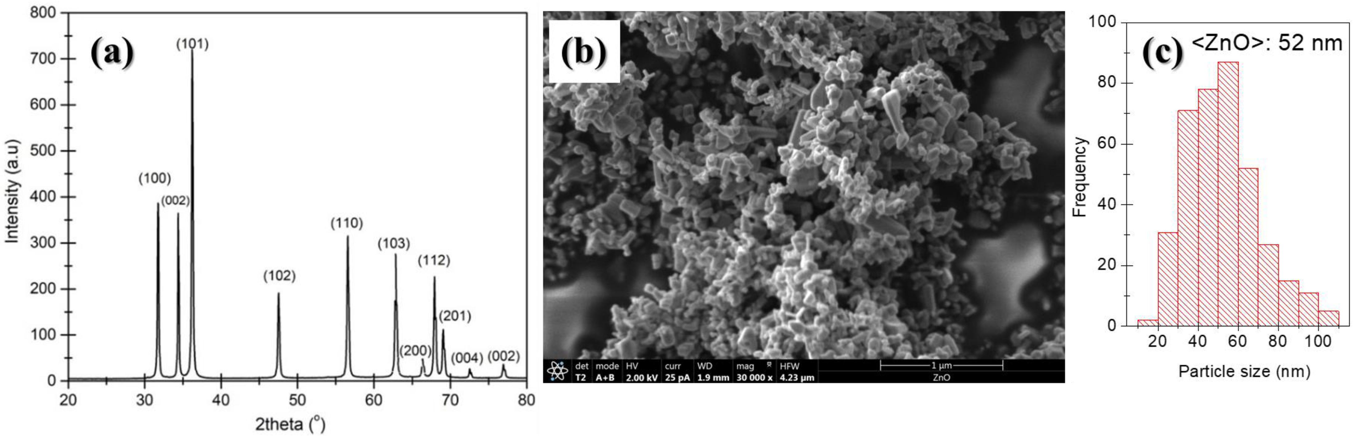 Nanomaterials 13 00625 g001